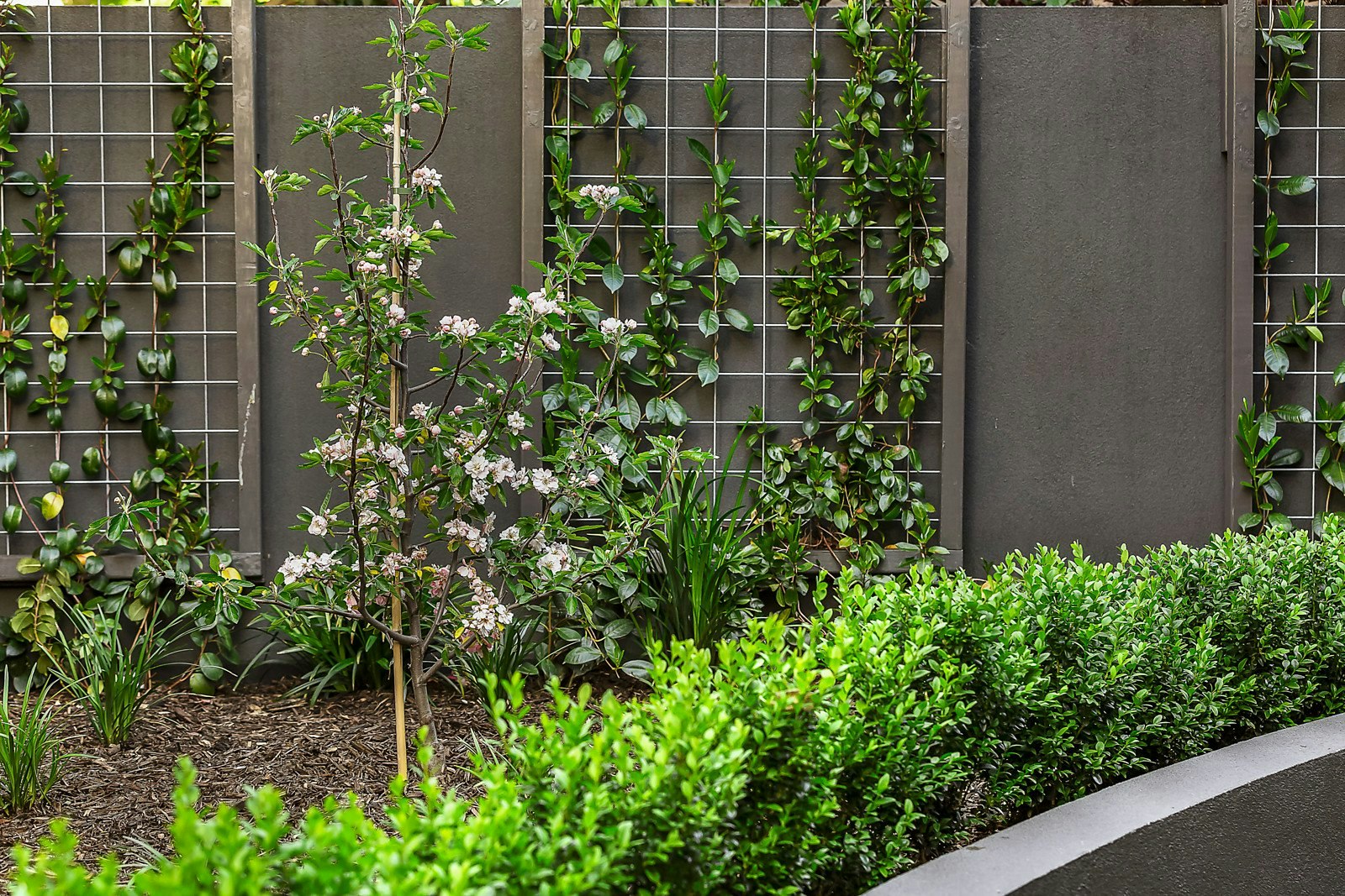 2/59 Denham Street, Hawthorn, VIC