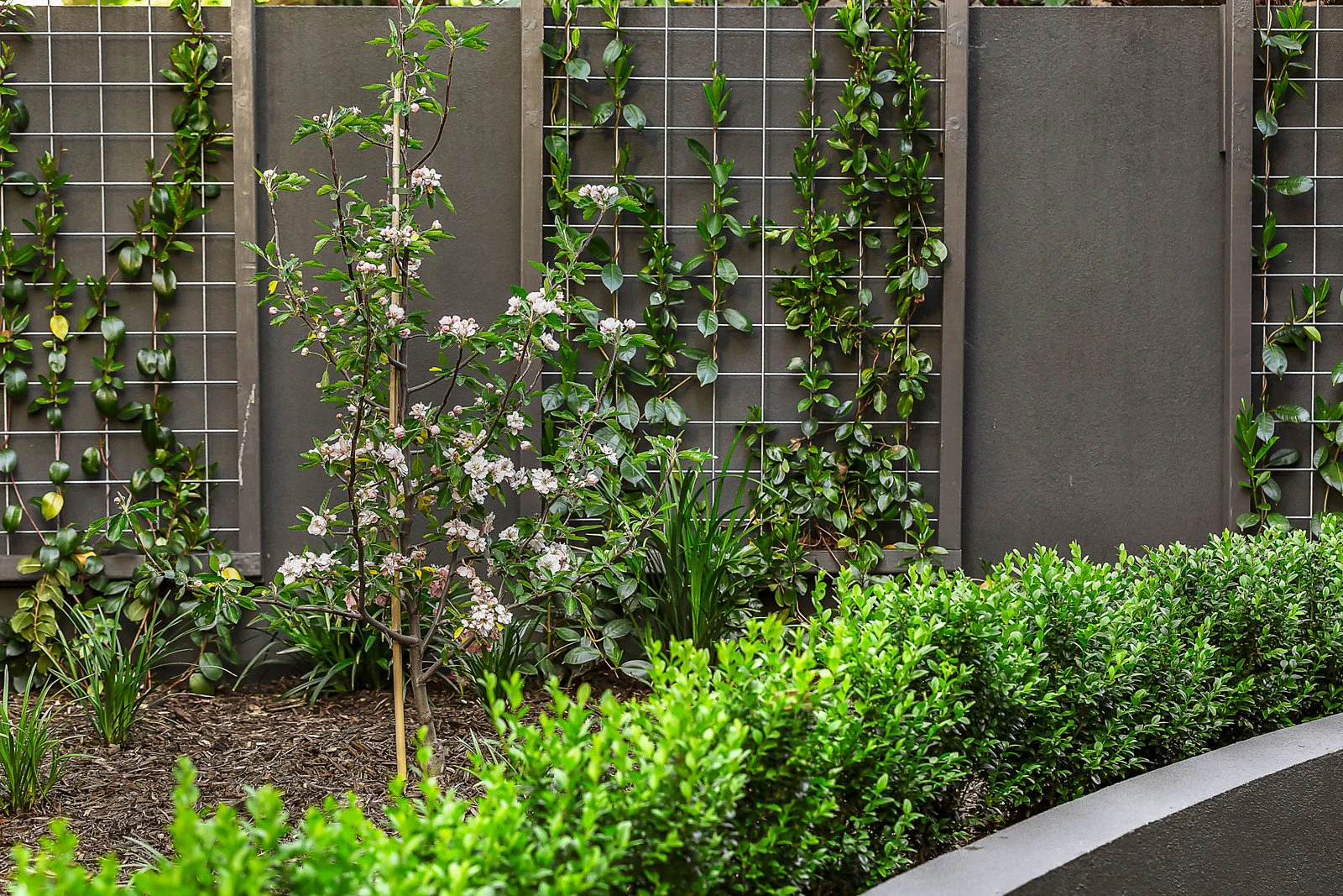 2/59 Denham Street, Hawthorn, VIC