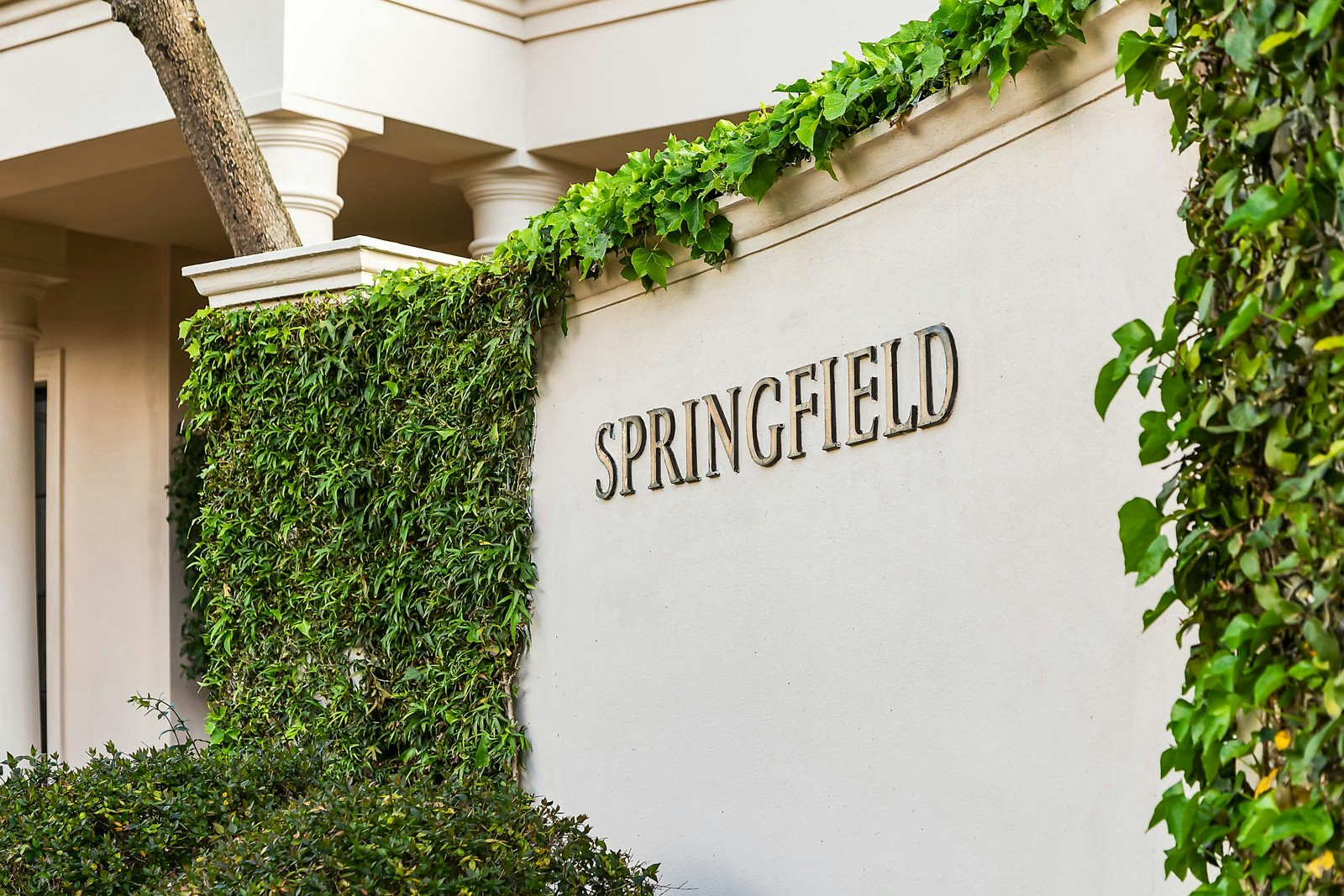 2B Kinane Street, Brighton, VIC