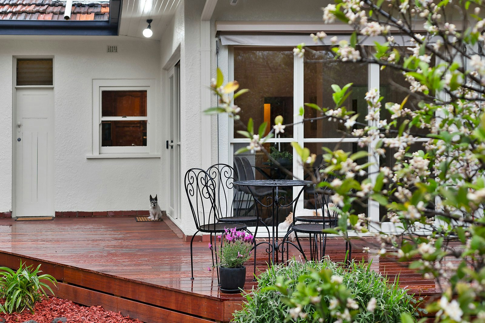 29 Finsbury Way, Camberwell, VIC