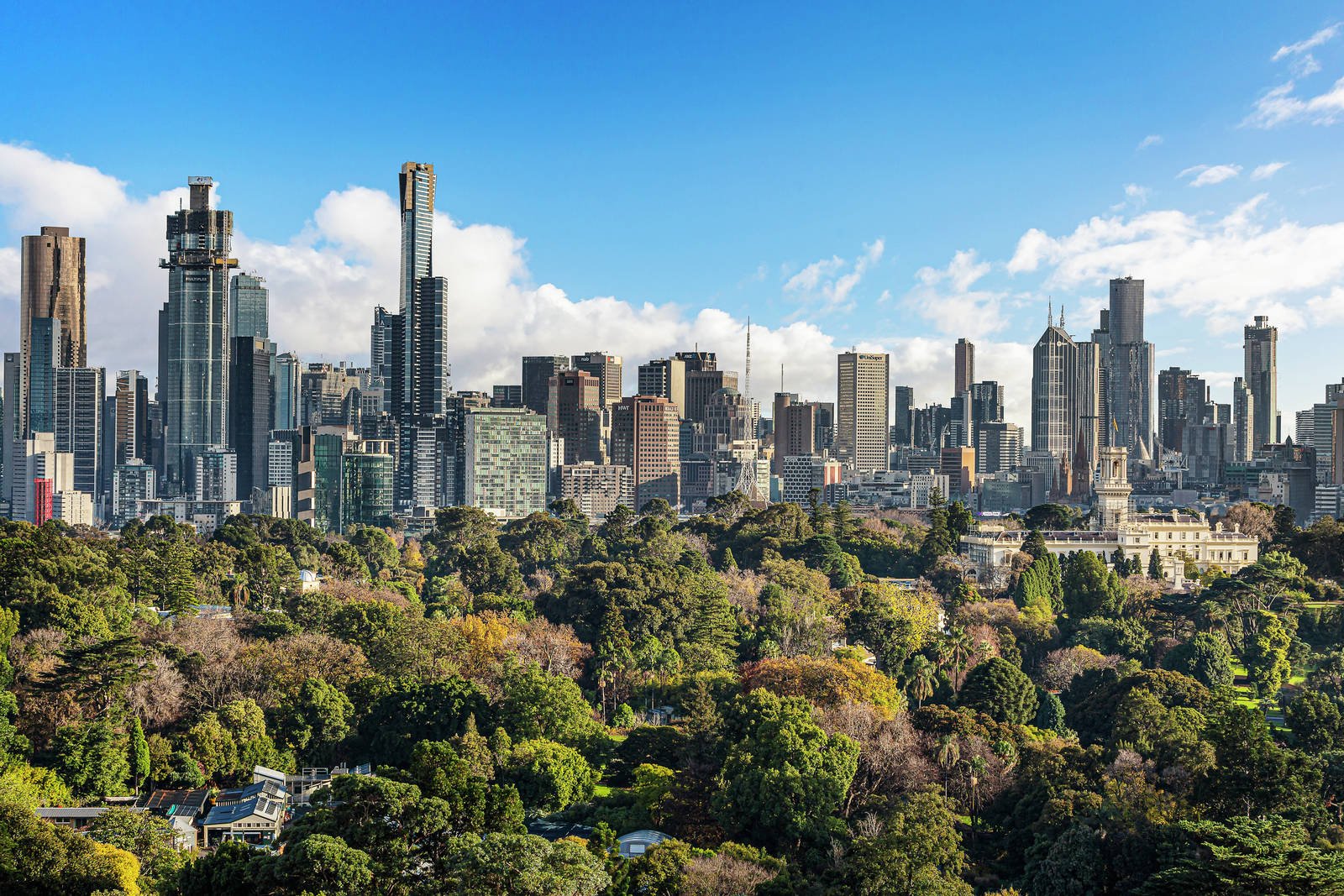 West Penthouse/193 Domain Road, South Yarra - Thumbnail 4