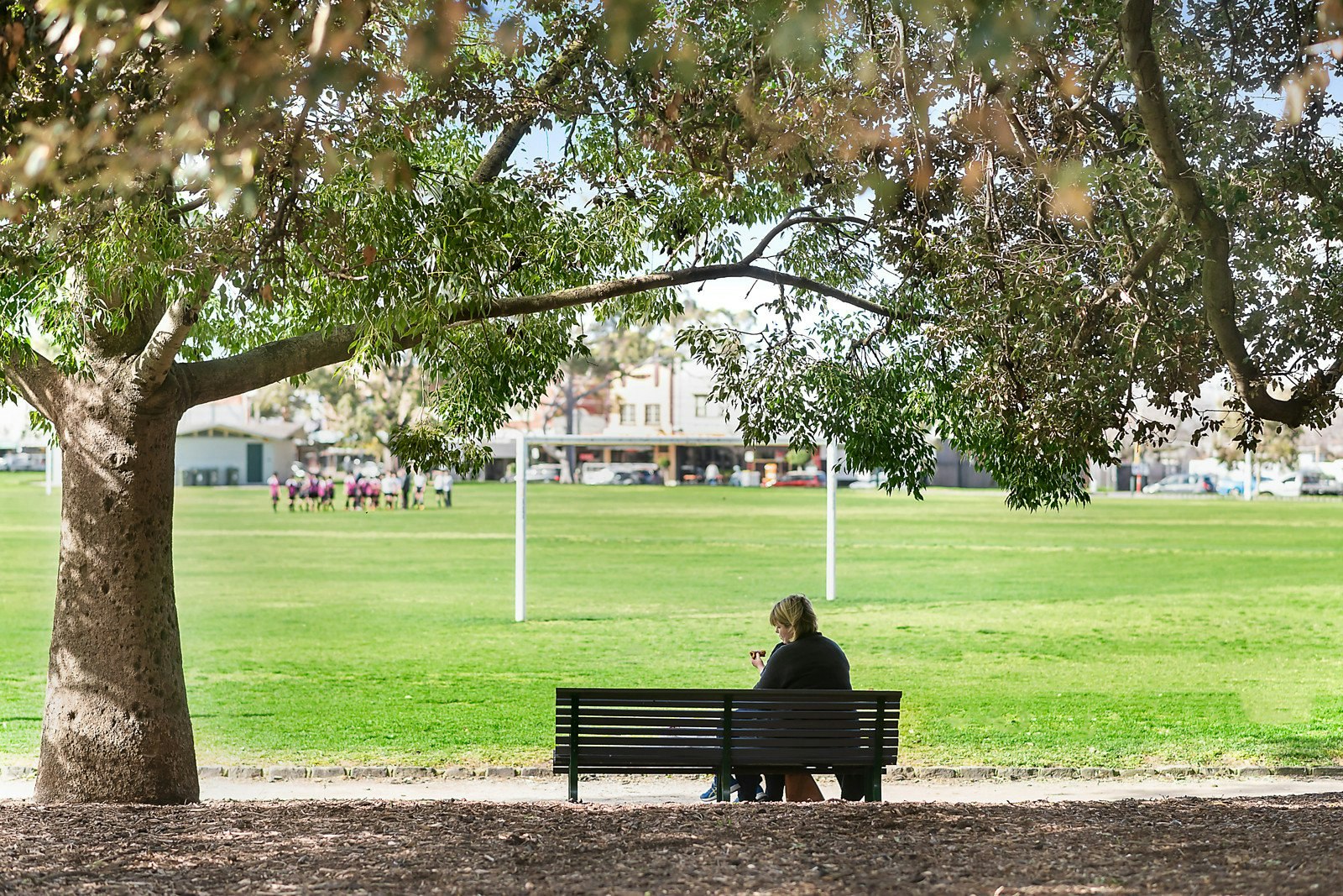 40 Tennyson Street, Malvern East, VIC