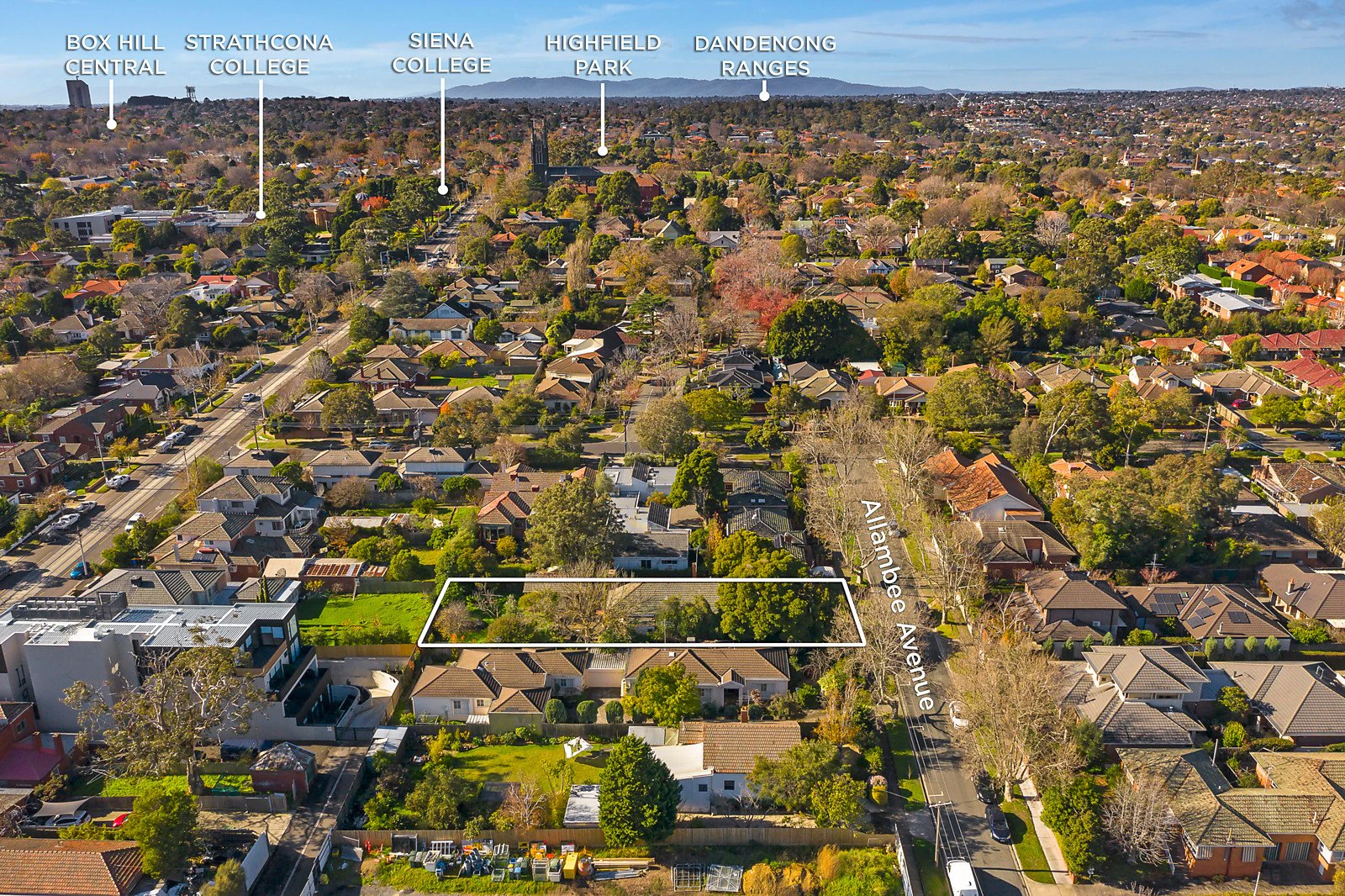 41 Allambee Avenue, Camberwell, VIC