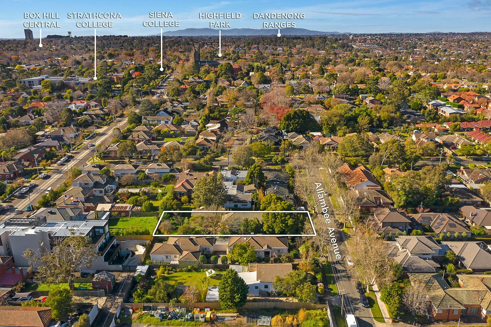 41 Allambee Avenue, Camberwell, VIC