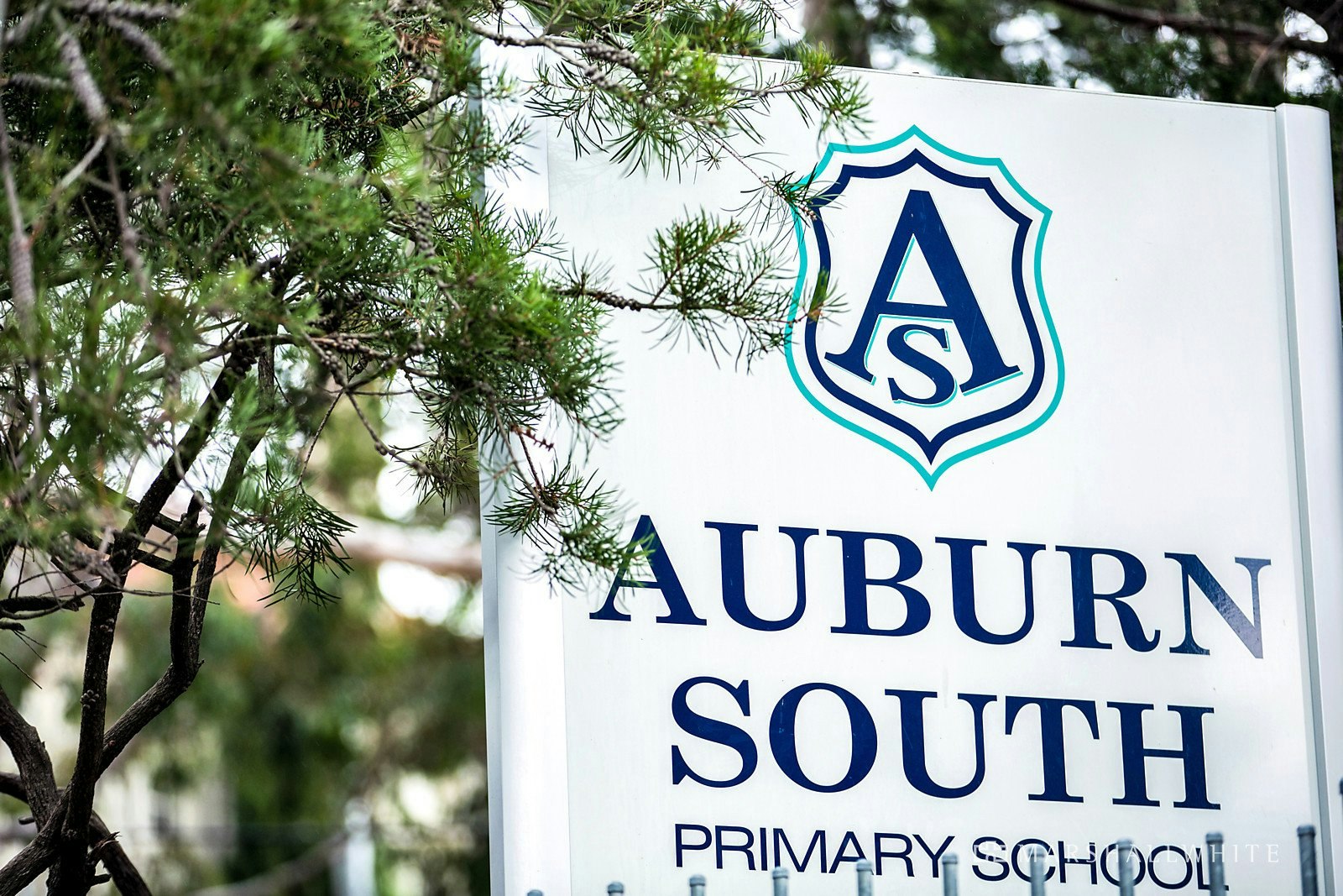 6, 8 & 10 Tourello Avenue & 9 Myrniong Grove, Hawthorn East, VIC