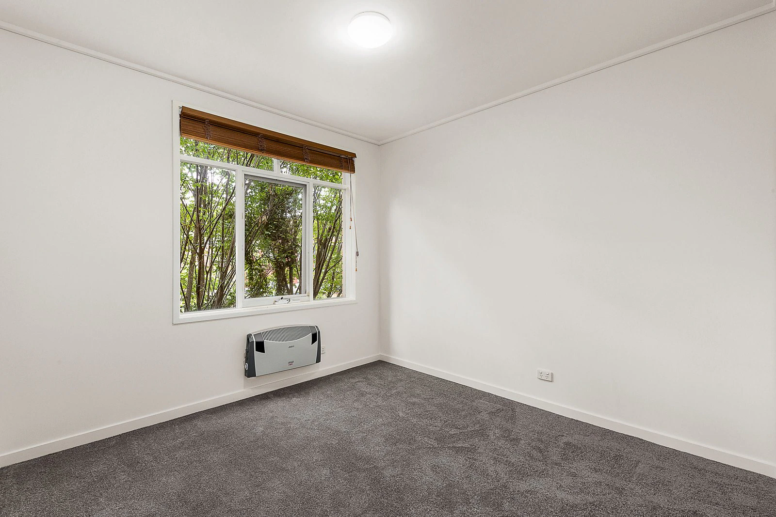 8/65 Riversdale Road, Hawthorn, VIC
