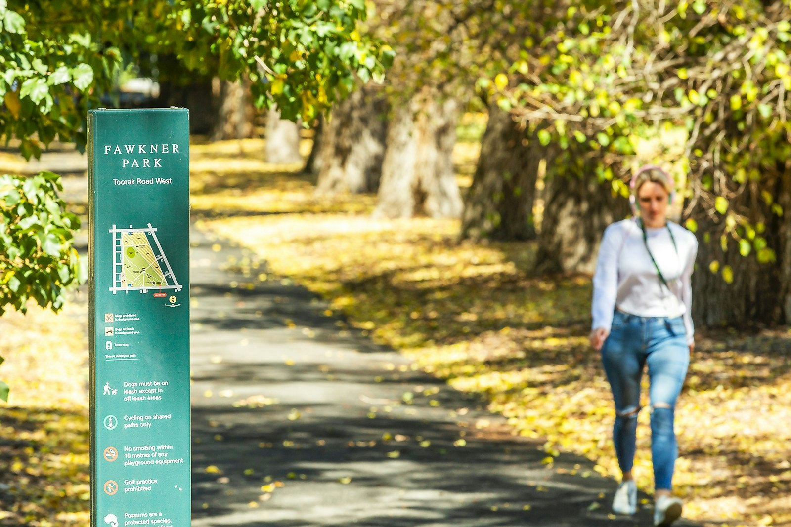 58 Alexandra Street, South Yarra, VIC
