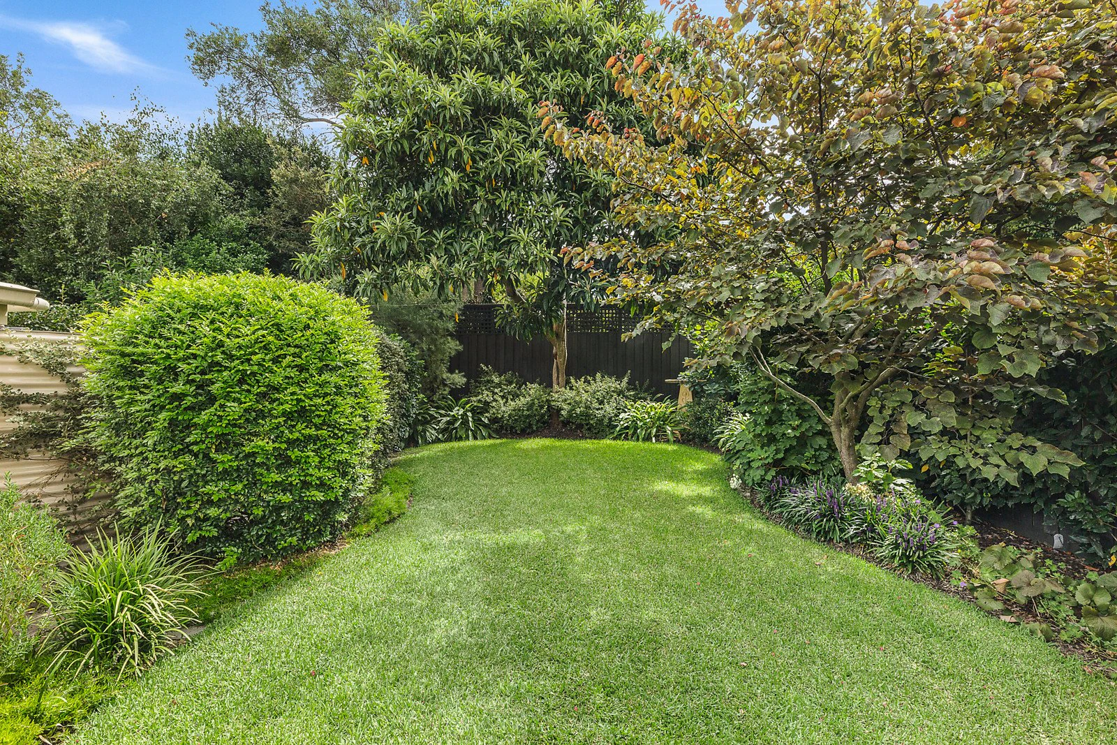 16 Palmerston Street, Camberwell, VIC