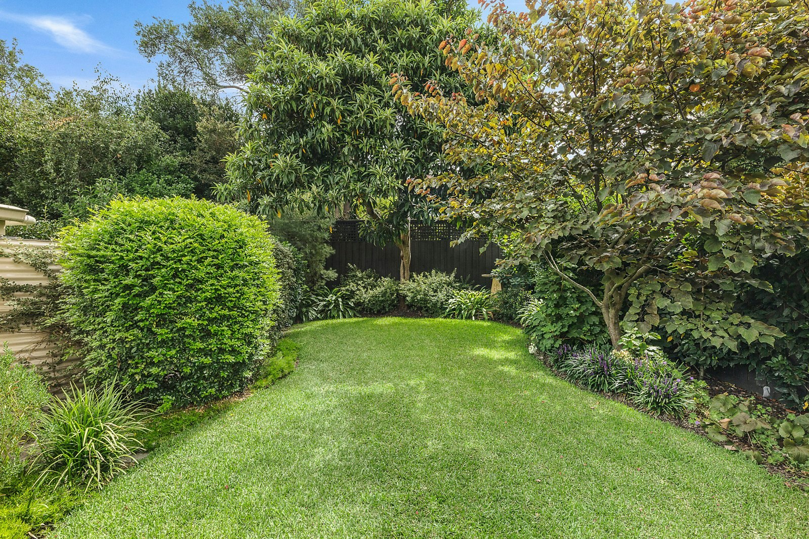 16 Palmerston Street, Camberwell, VIC