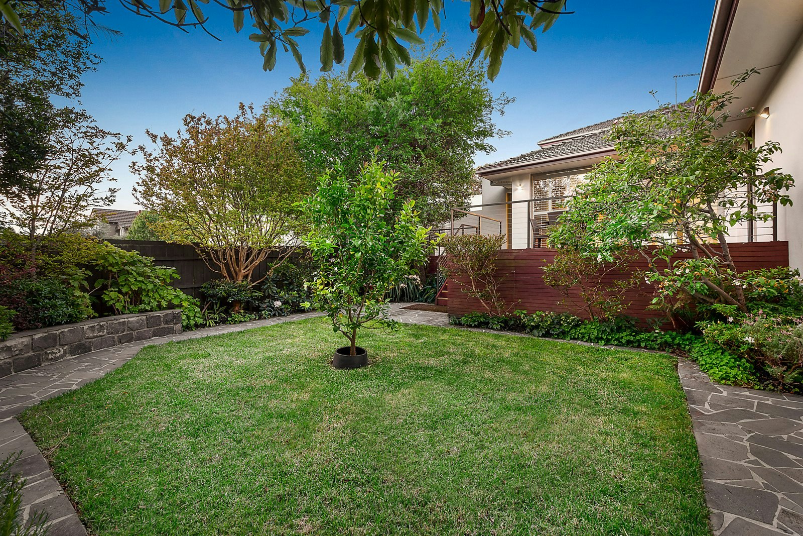 12 Menzies Avenue, Brighton, VIC