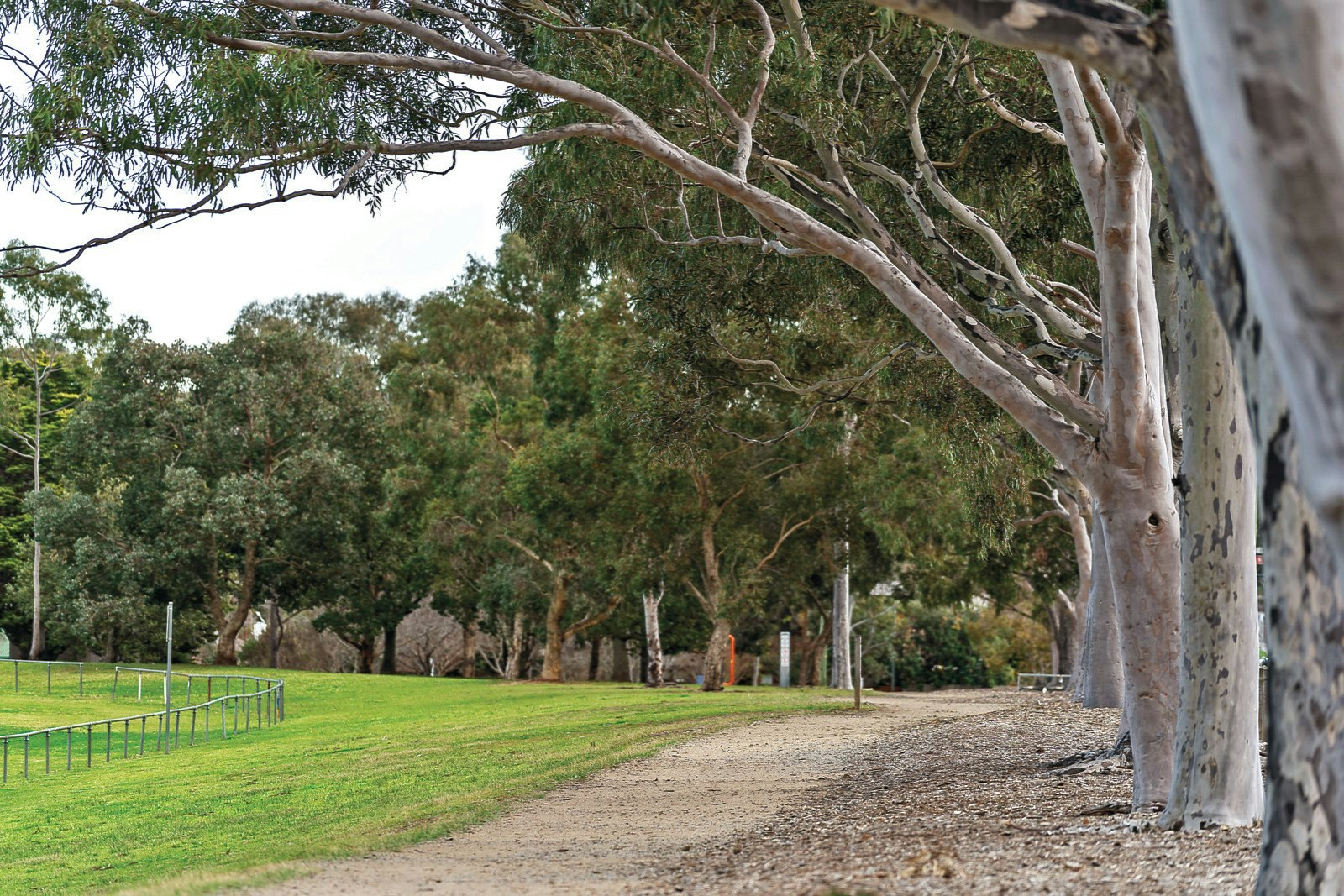 133 Marriage Road, Brighton East, VIC