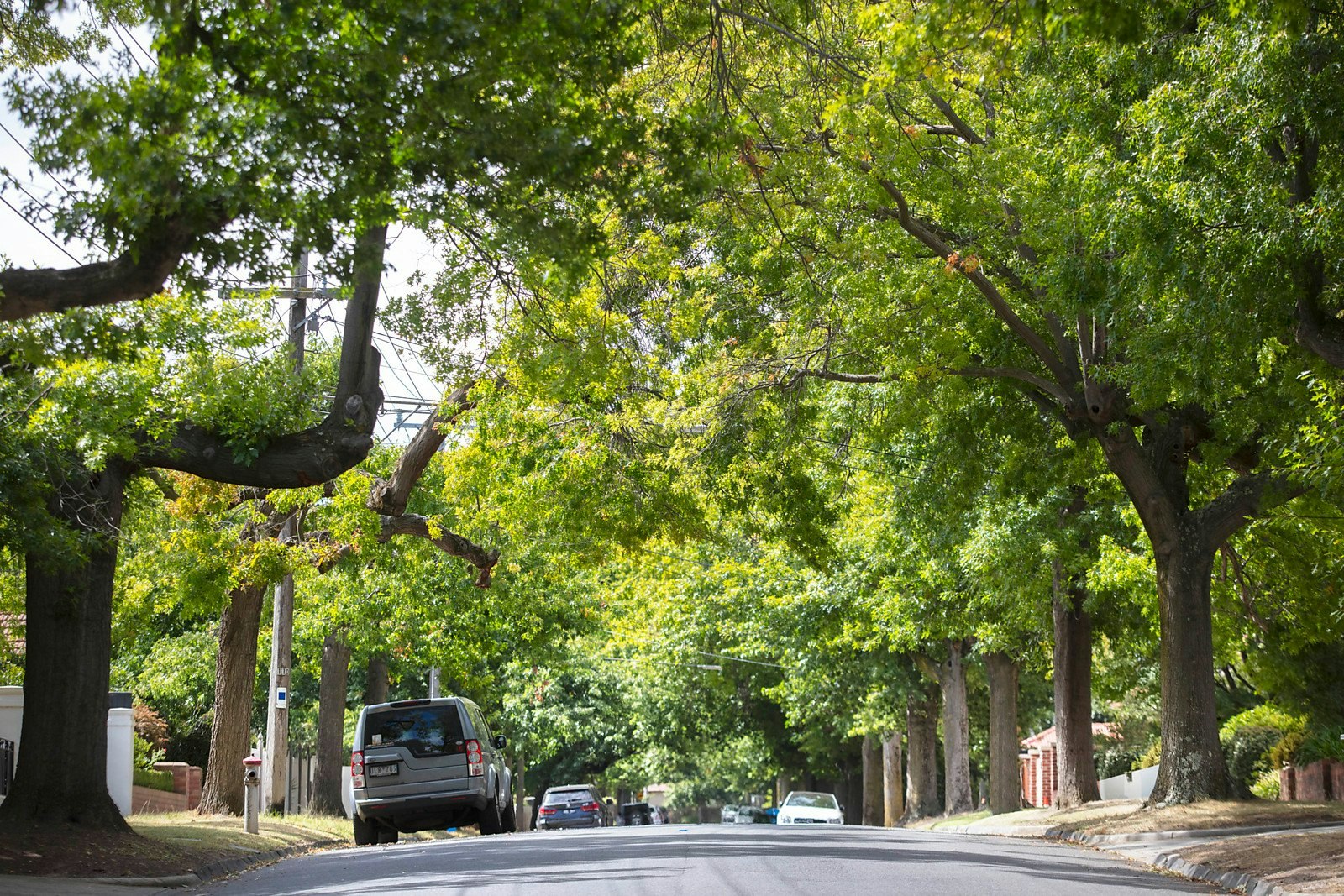 1/131 Rowell Avenue, Camberwell, VIC