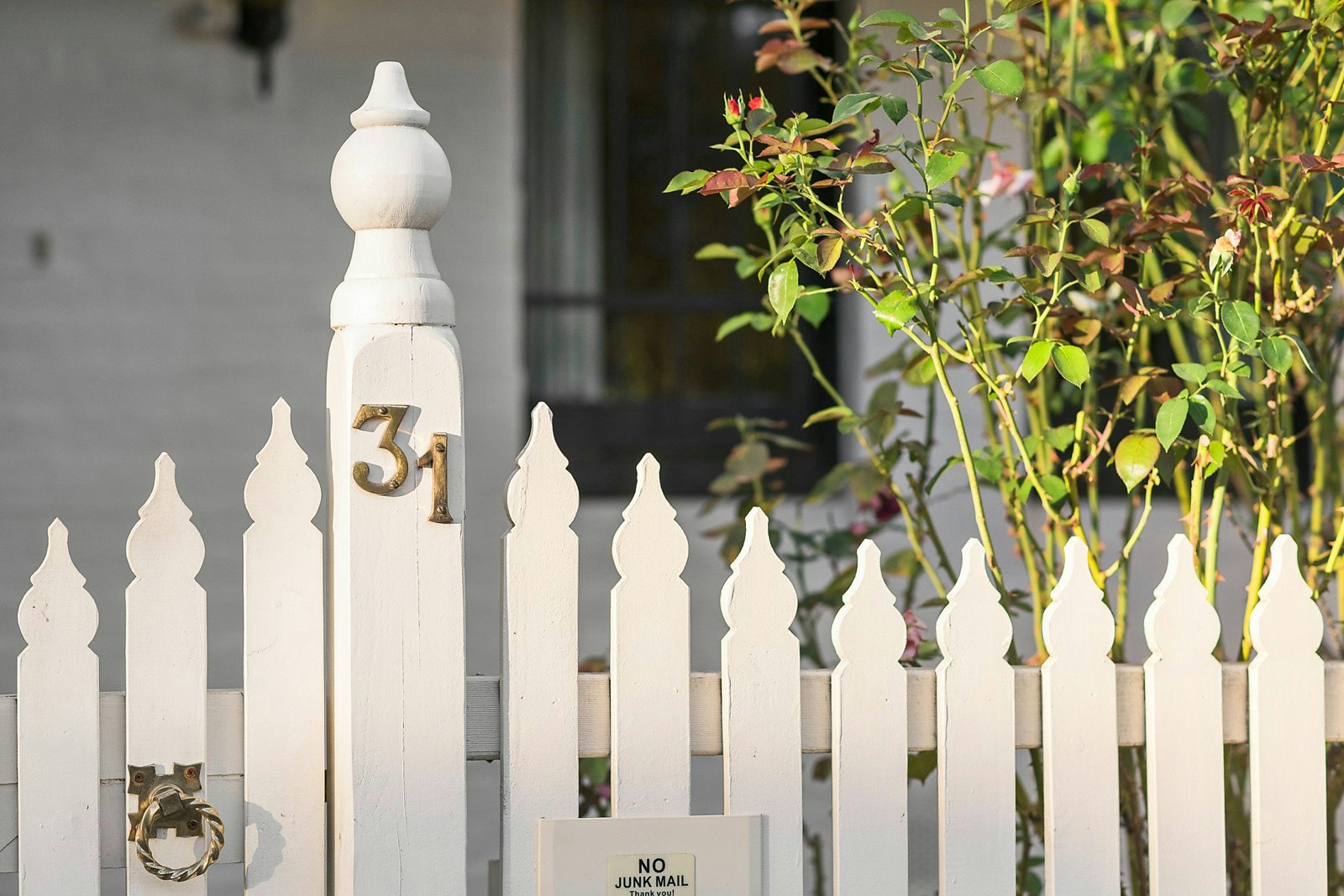 31 Pine Street, Hawthorn, VIC