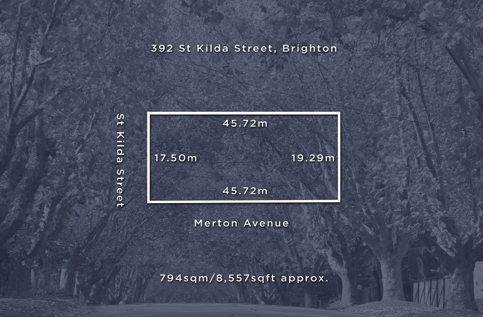 392 St Kilda Street, Brighton, VIC