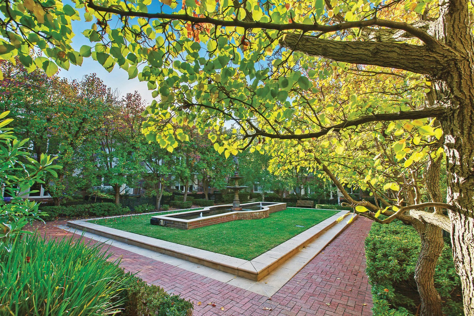 1H Robinson Road, Hawthorn, VIC