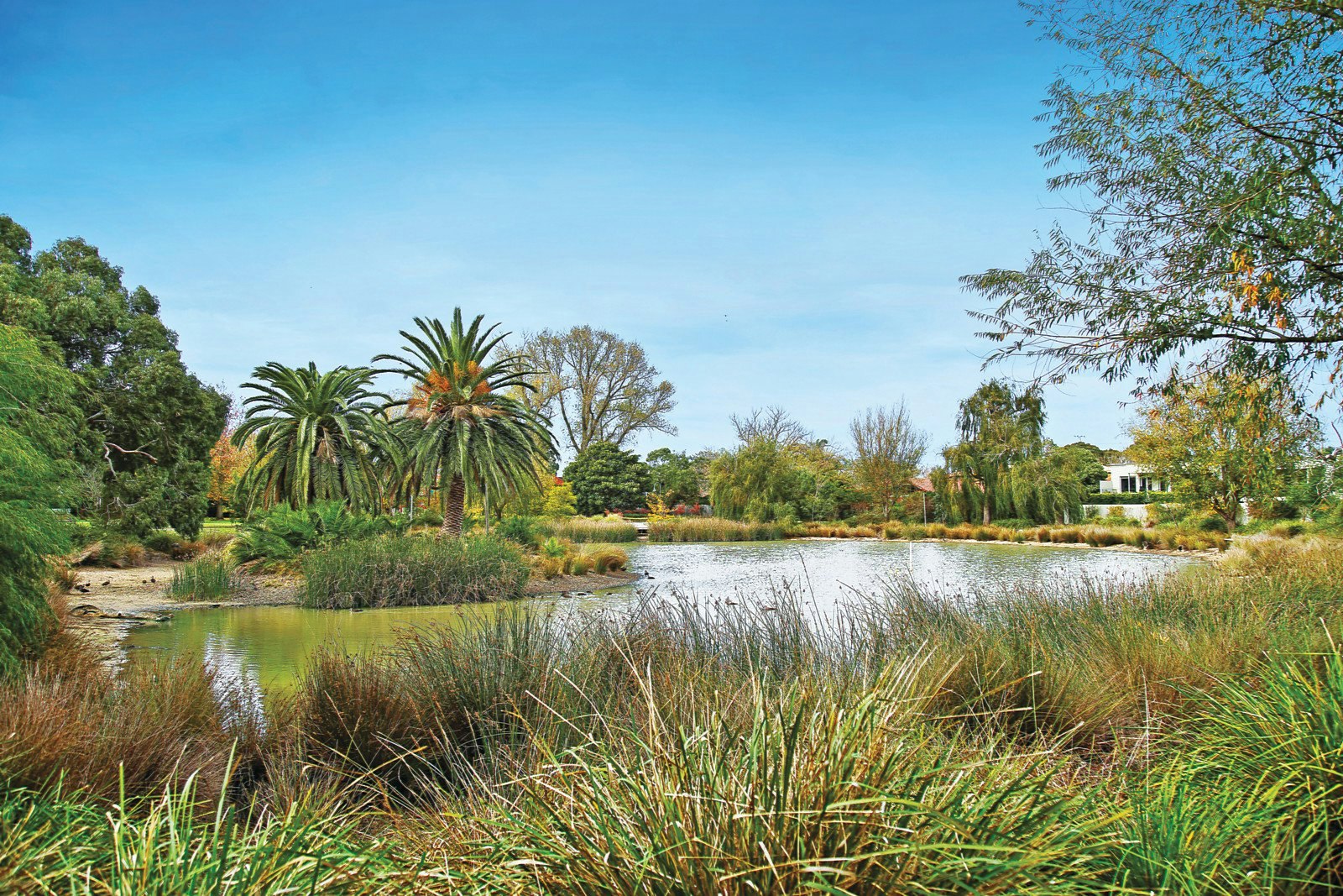 95 Union Street, Brighton East, VIC