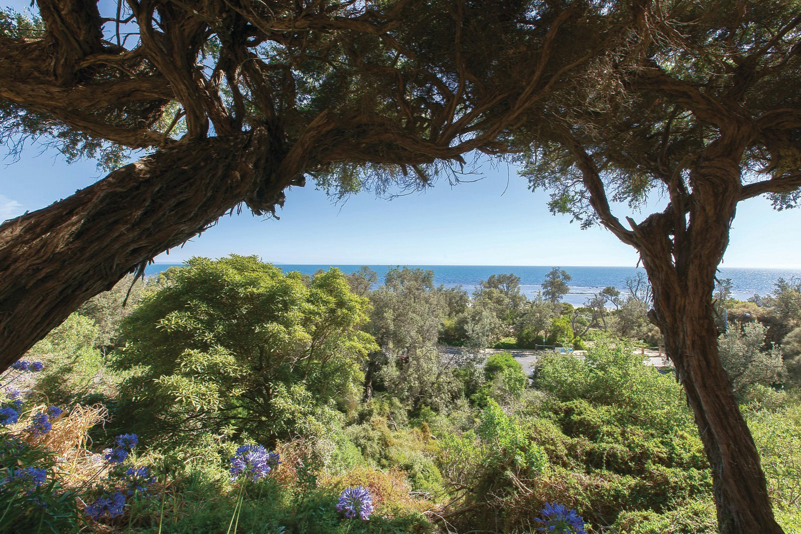 1/405 Beach Road, Beaumaris, VIC