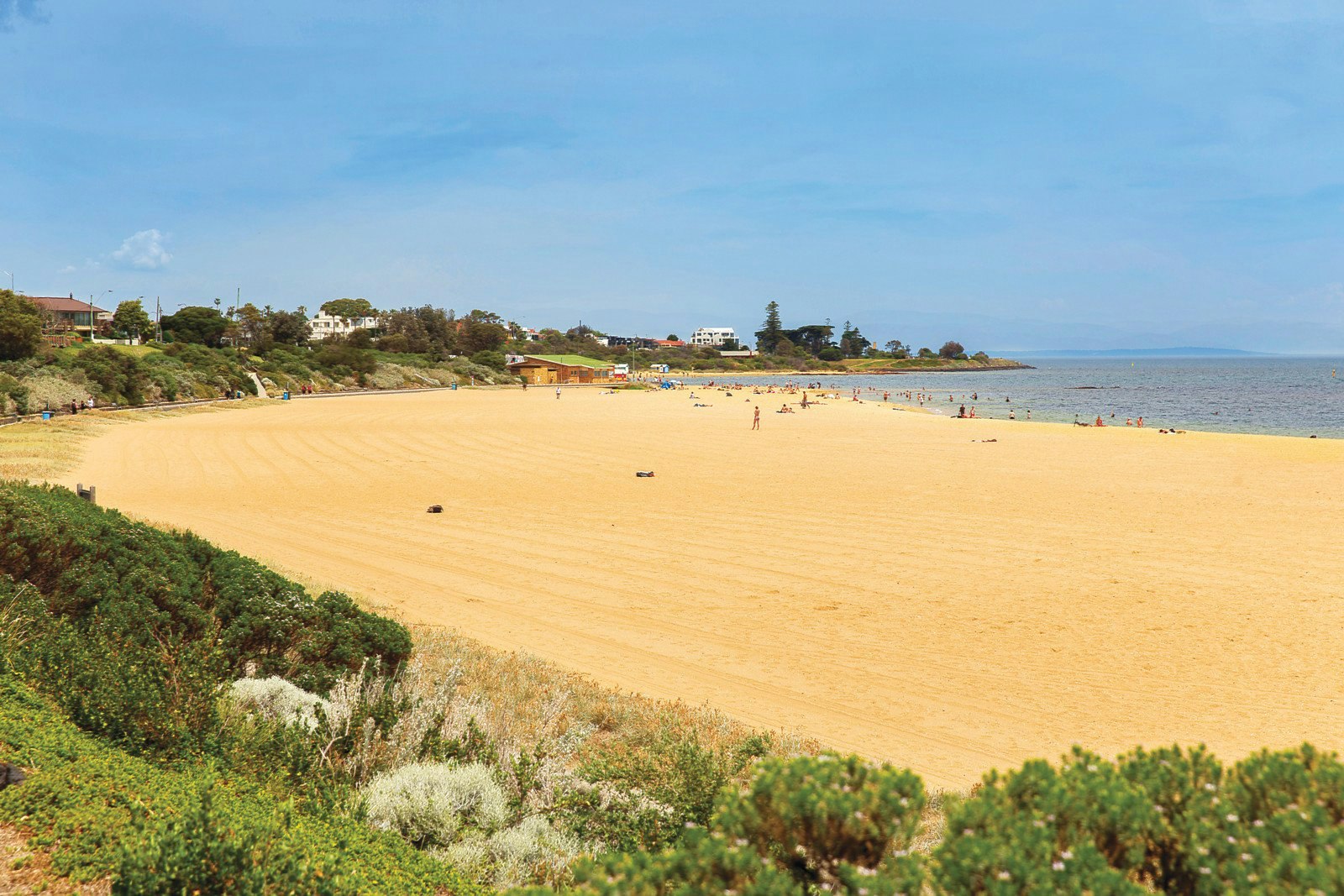 10 Farleigh Grove, Brighton, VIC