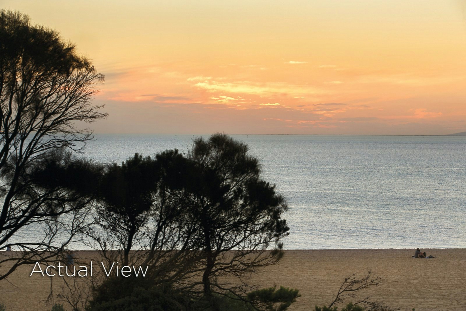 1/164 Esplanade, Brighton, VIC