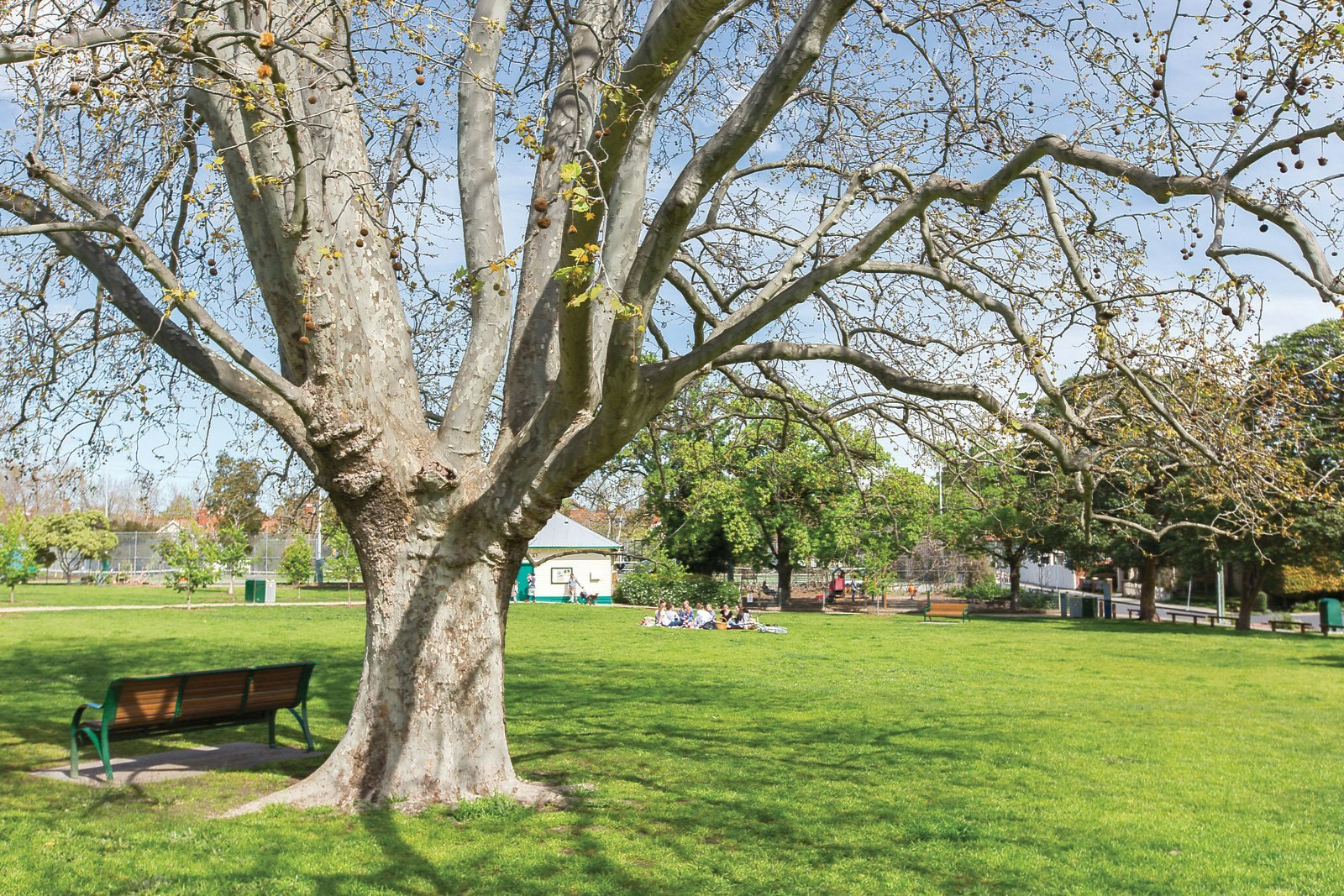 1-2/55 Llaneast Street, Armadale, VIC