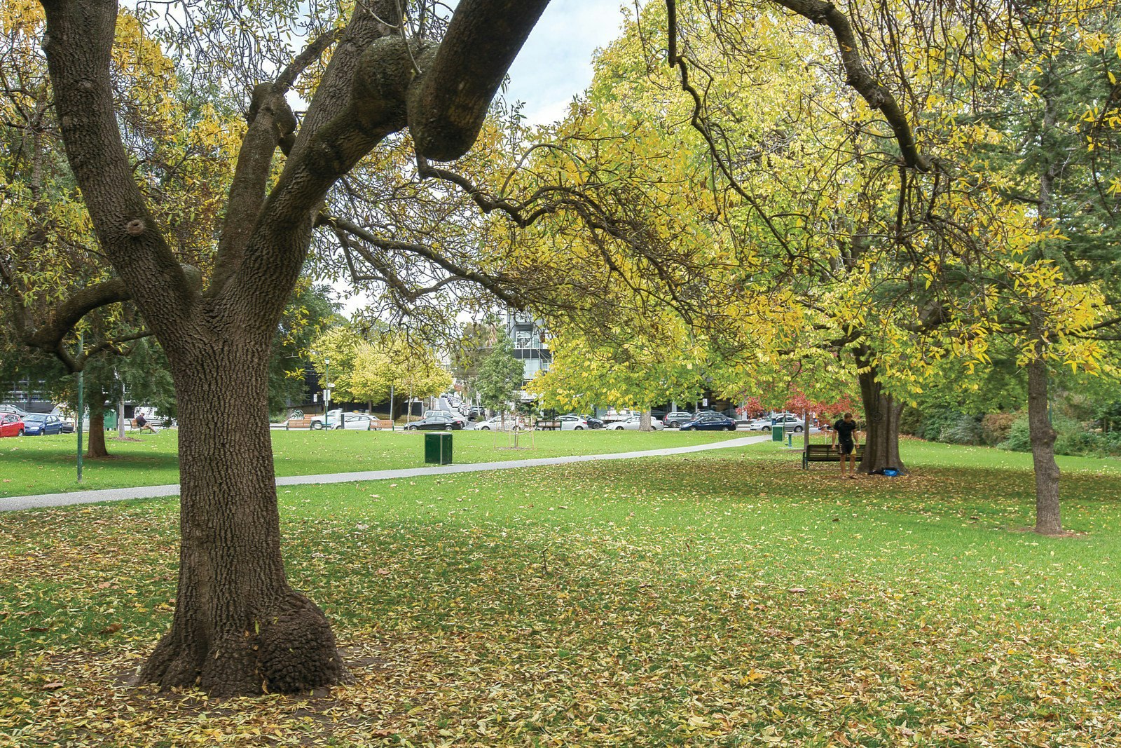 1/1 Rockley Road, South Yarra, VIC