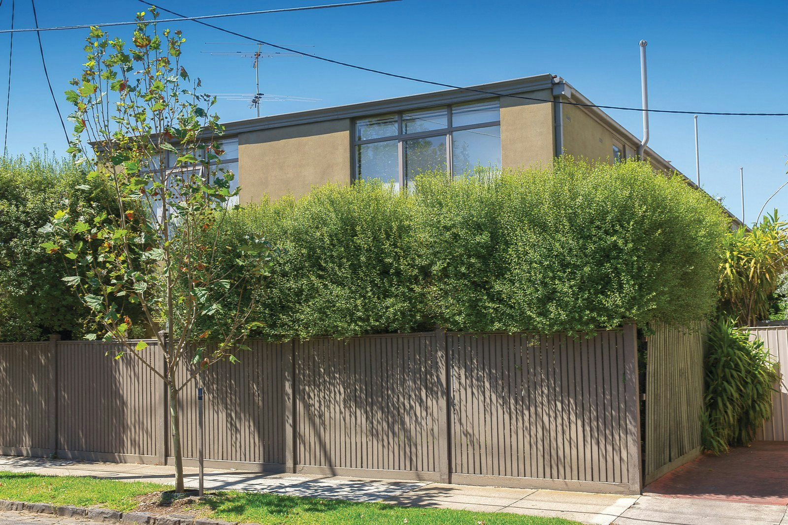 6/11a Pine Avenue, Elwood, VIC