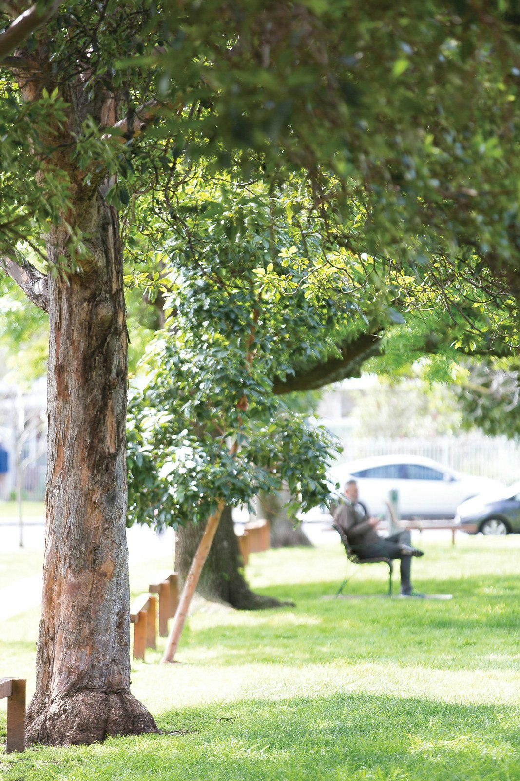 23 Stuart Street, Armadale, VIC