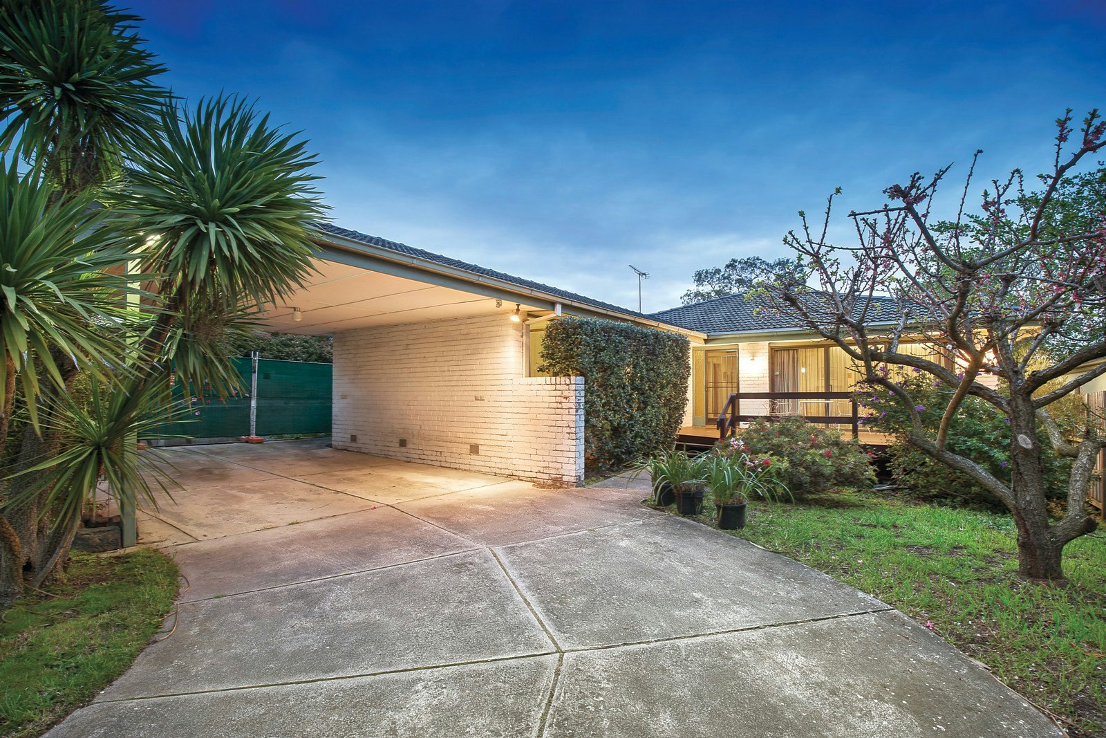 7 May Street, Balwyn, VIC