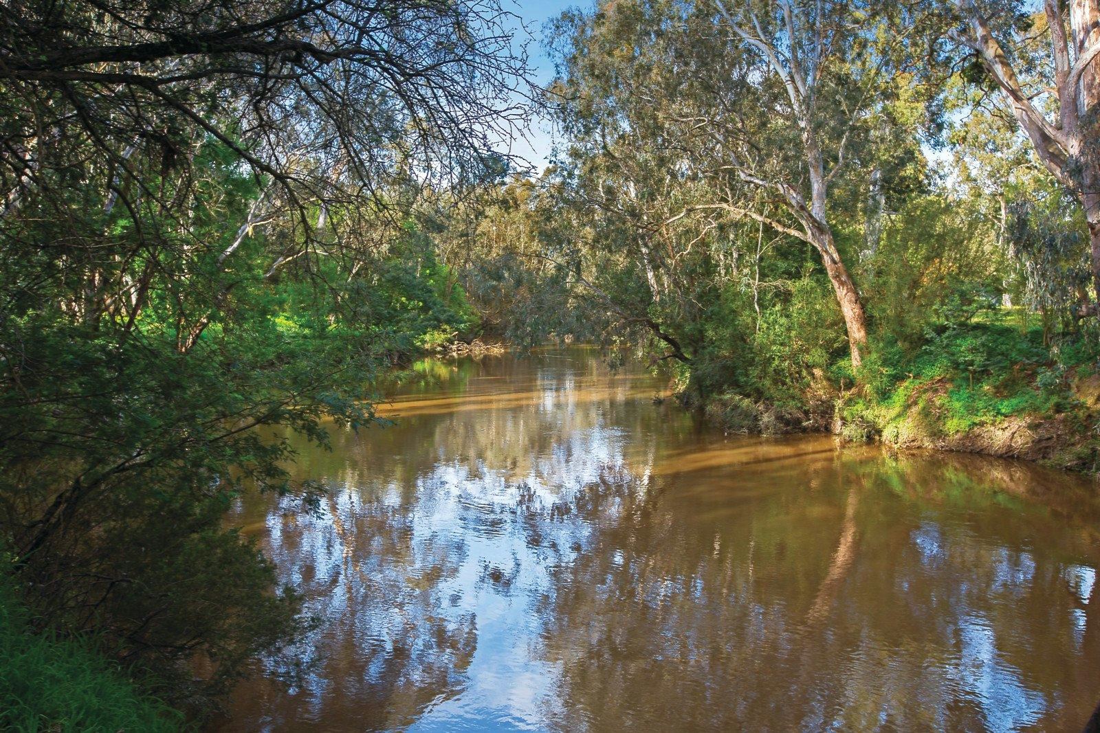 6-8 Redesdale Road, Ivanhoe, VIC