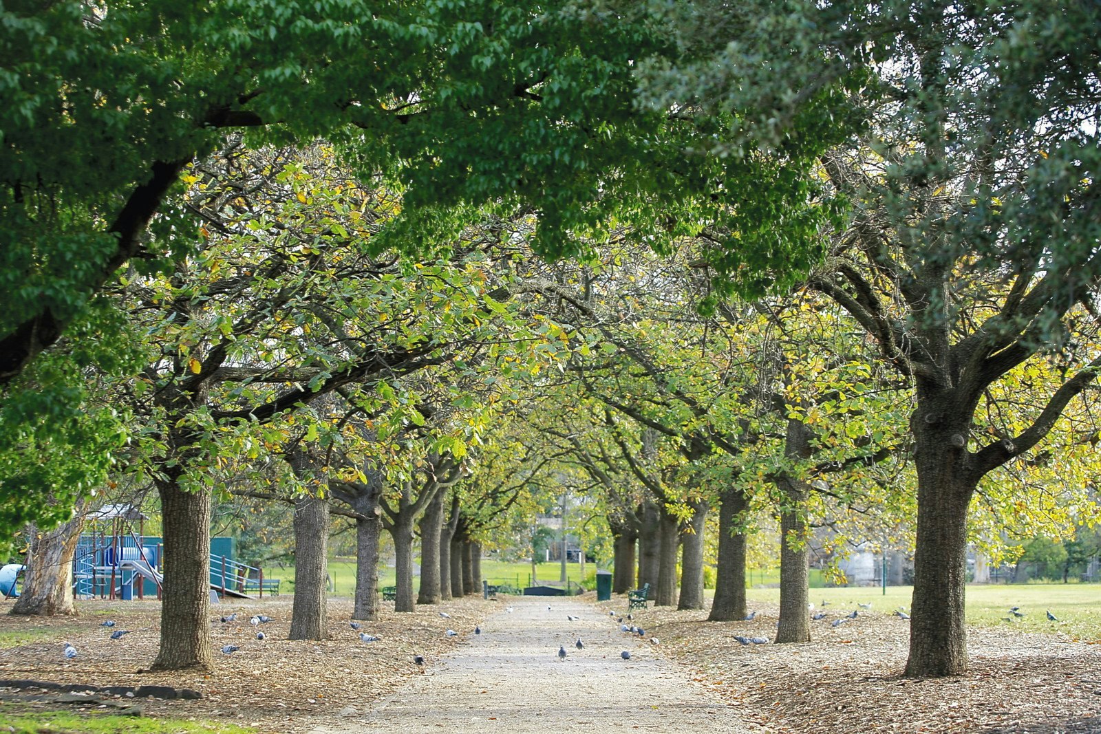 825 Toorak Road, Hawthorn East, VIC