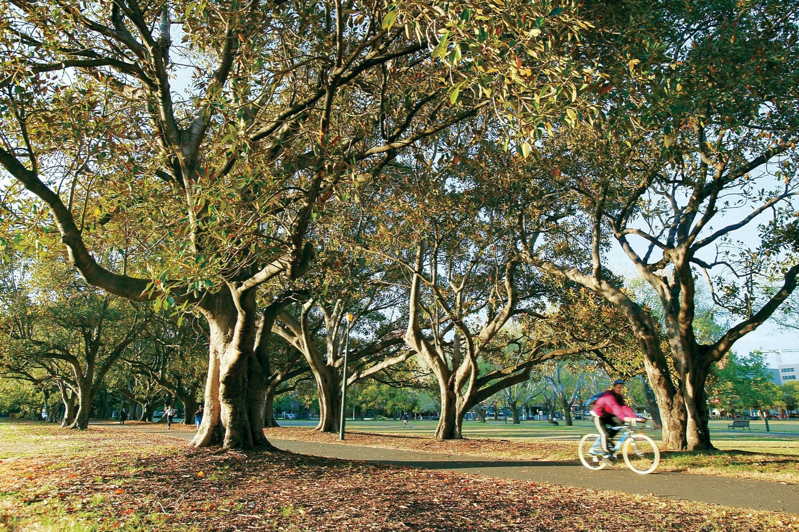 101/461 St Kilda Road, Melbourne, VIC