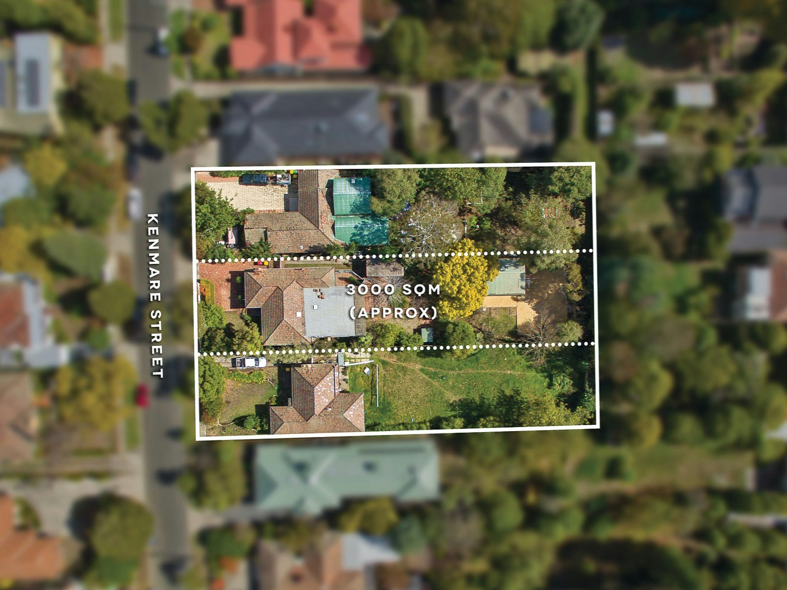neighborhood