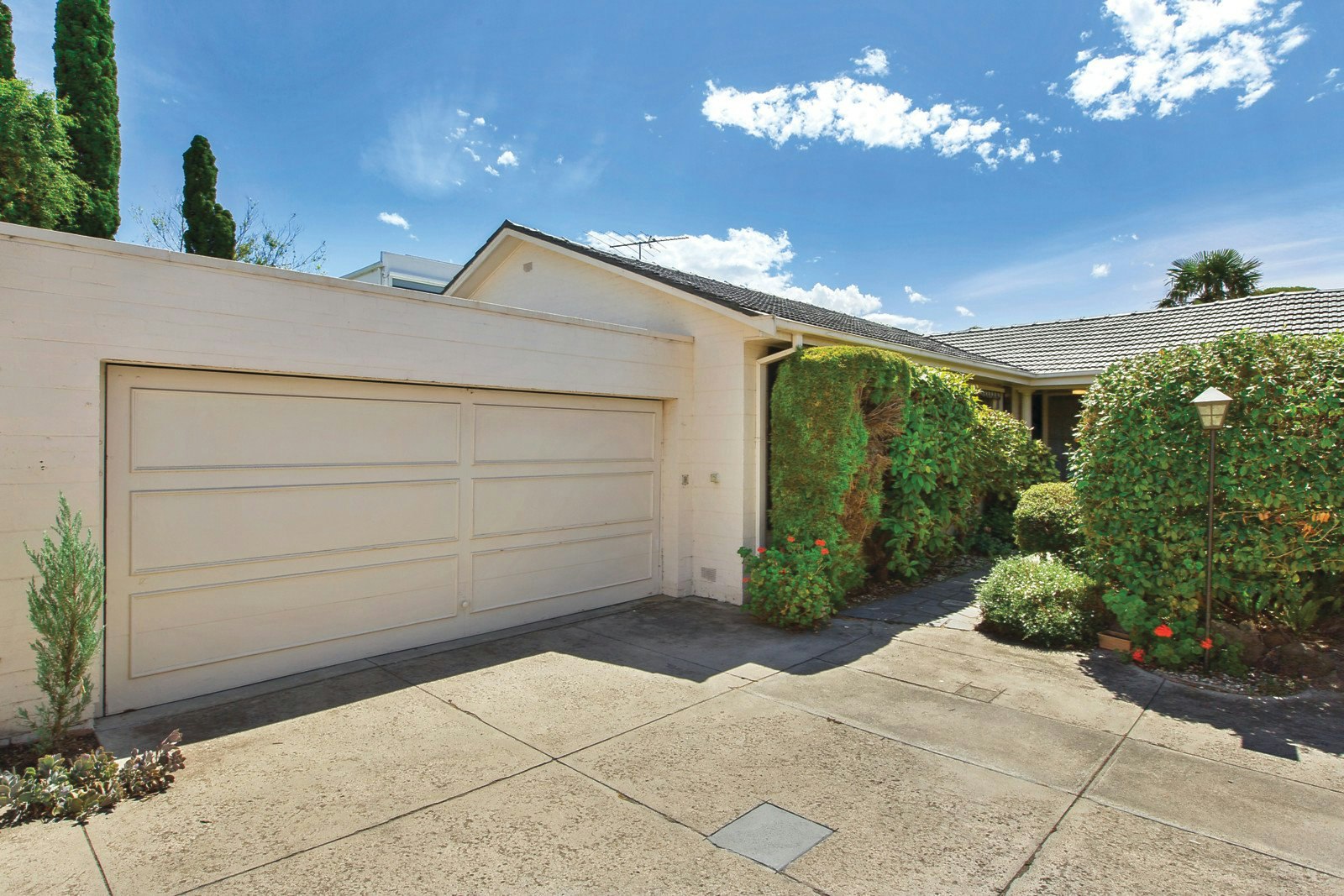 3/59 Cole Street, Brighton, VIC