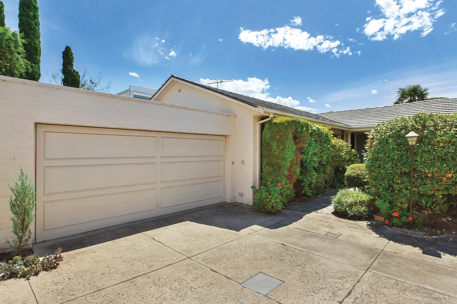3/59 Cole Street, Brighton, VIC
