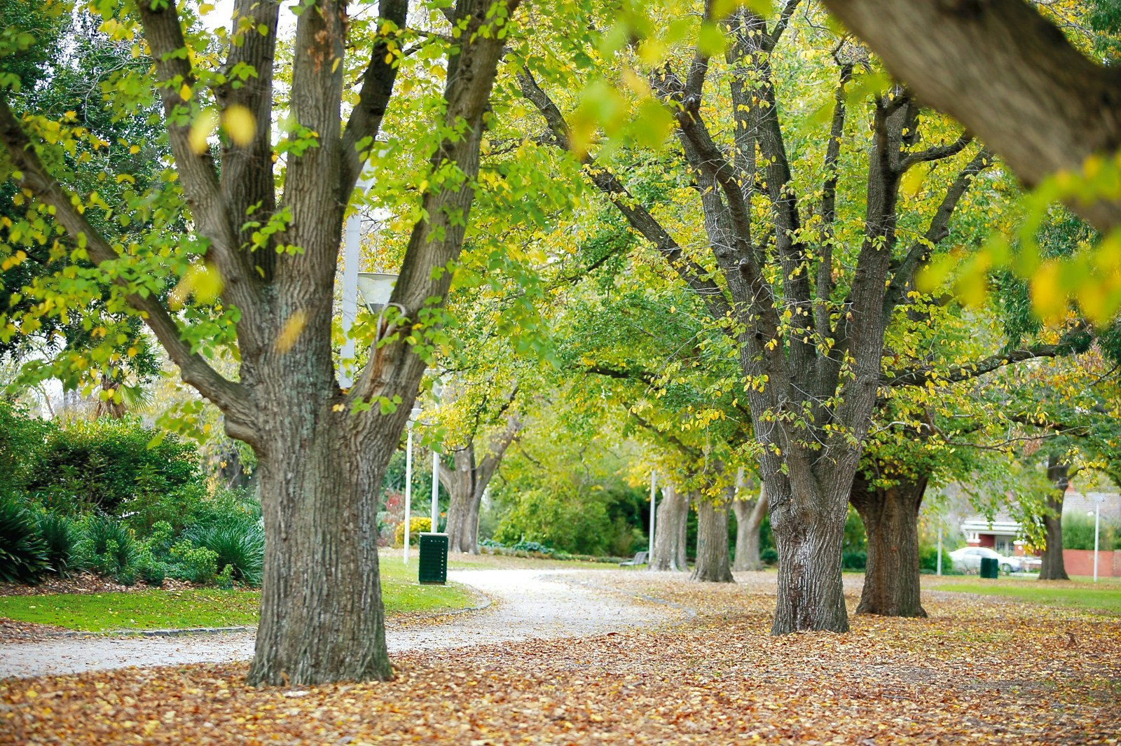 4/41 Paxton Street, Malvern East, VIC