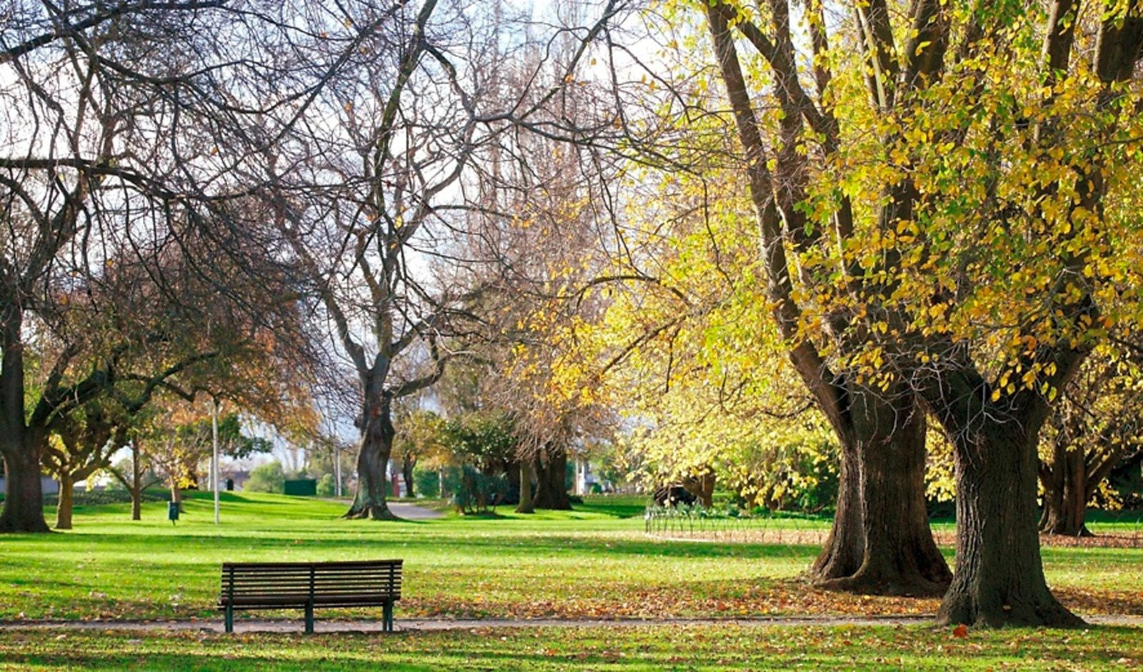 306/951 Dandenong Road, Malvern East, VIC