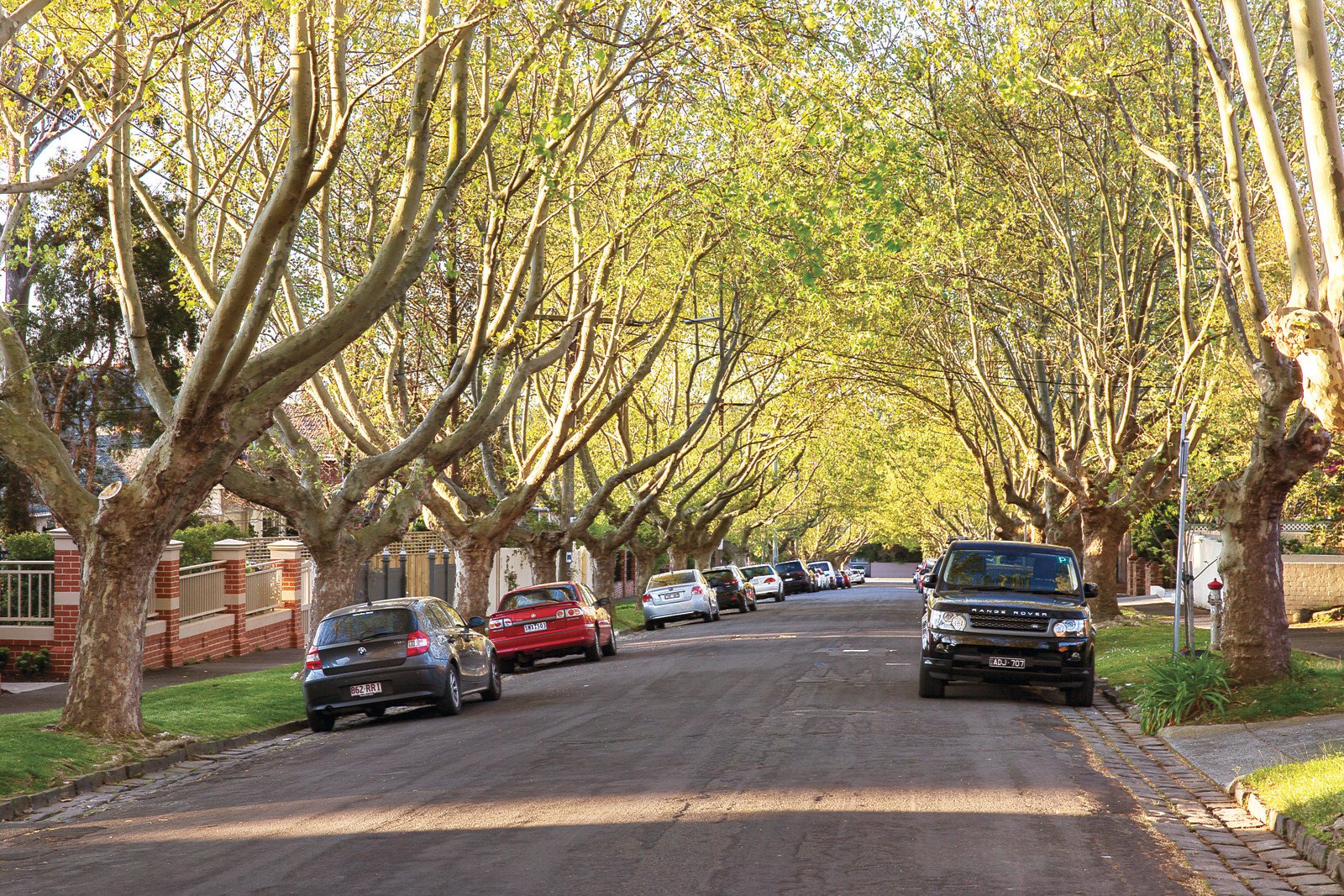 4/42 Scott Grove, Glen Iris - Thumbnail 3