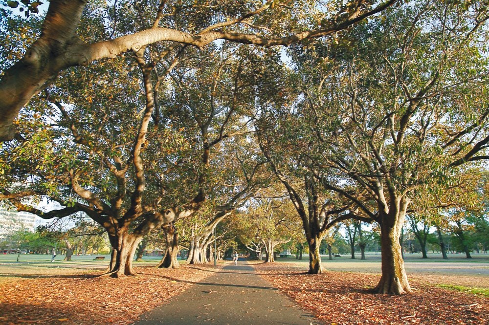 2/43 Caroline Street, South Yarra, VIC