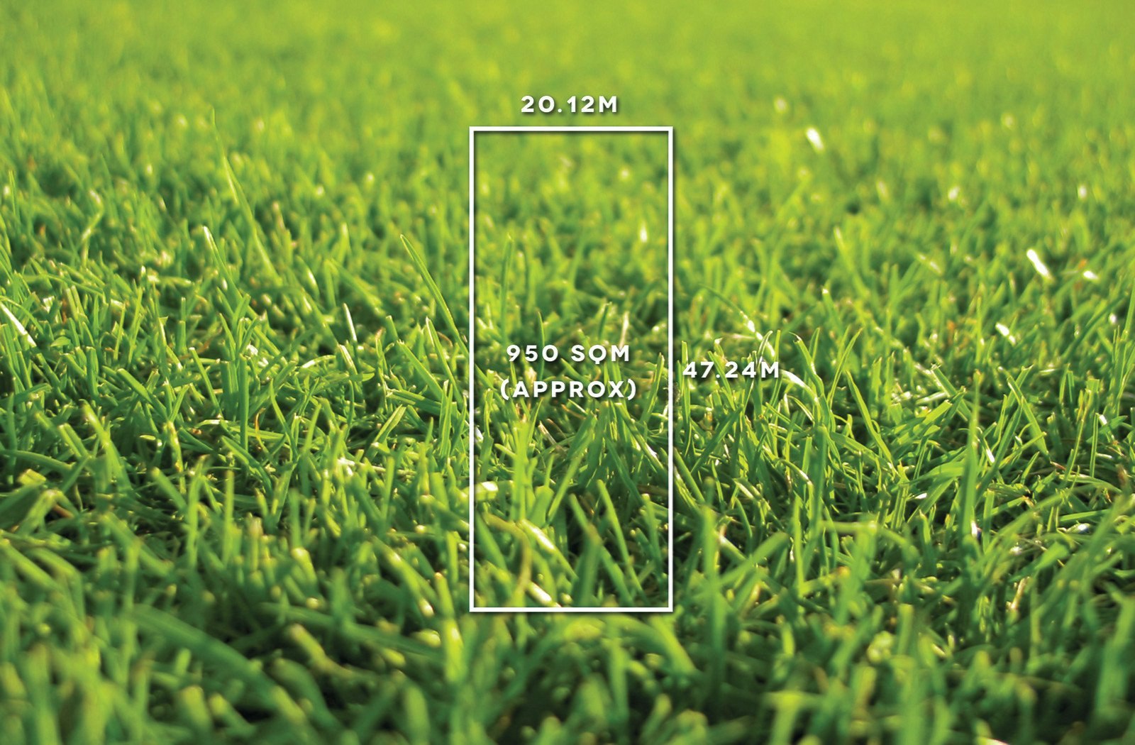 21 Dudley Street, Brighton, VIC