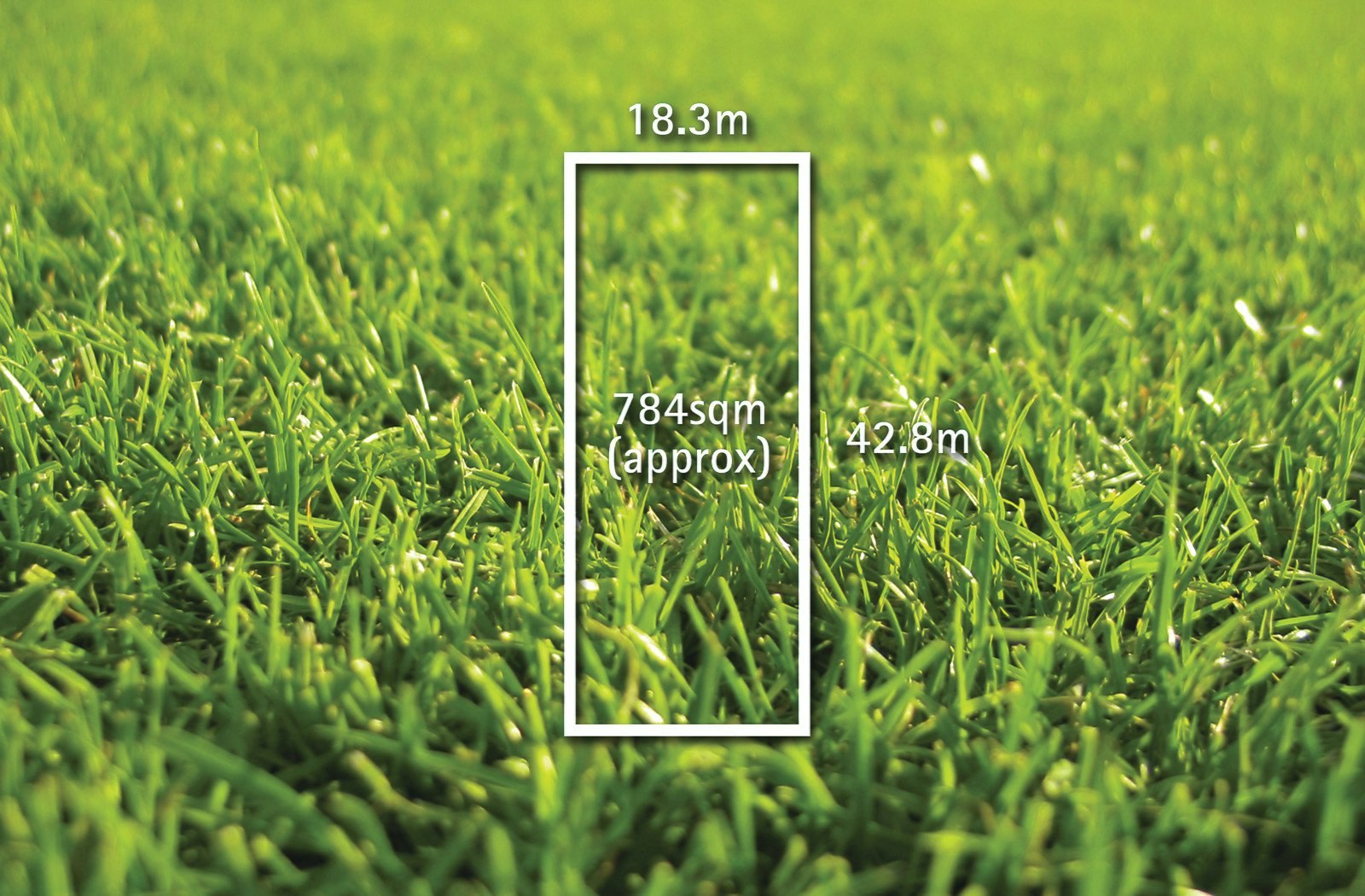 21 Avenue Athol, Canterbury, VIC