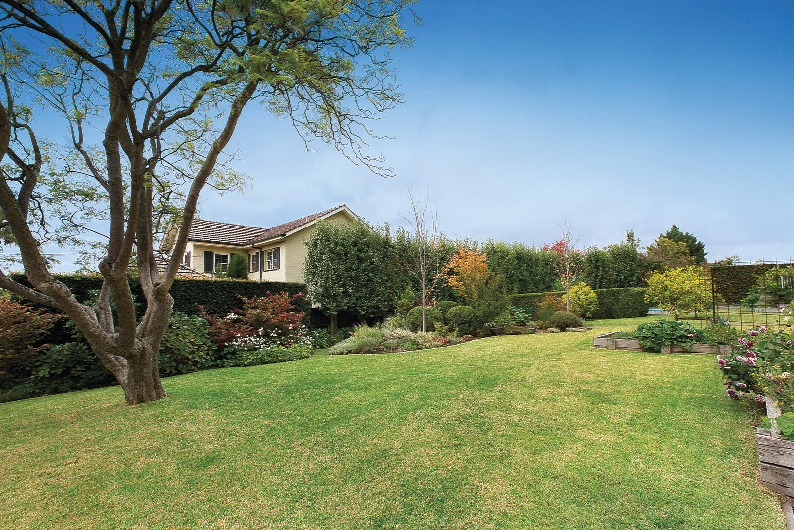 39-43 Mayfield Avenue, Malvern, VIC