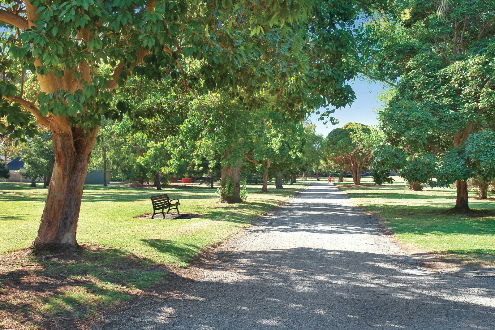 17 Willansby Avenue, Brighton, VIC