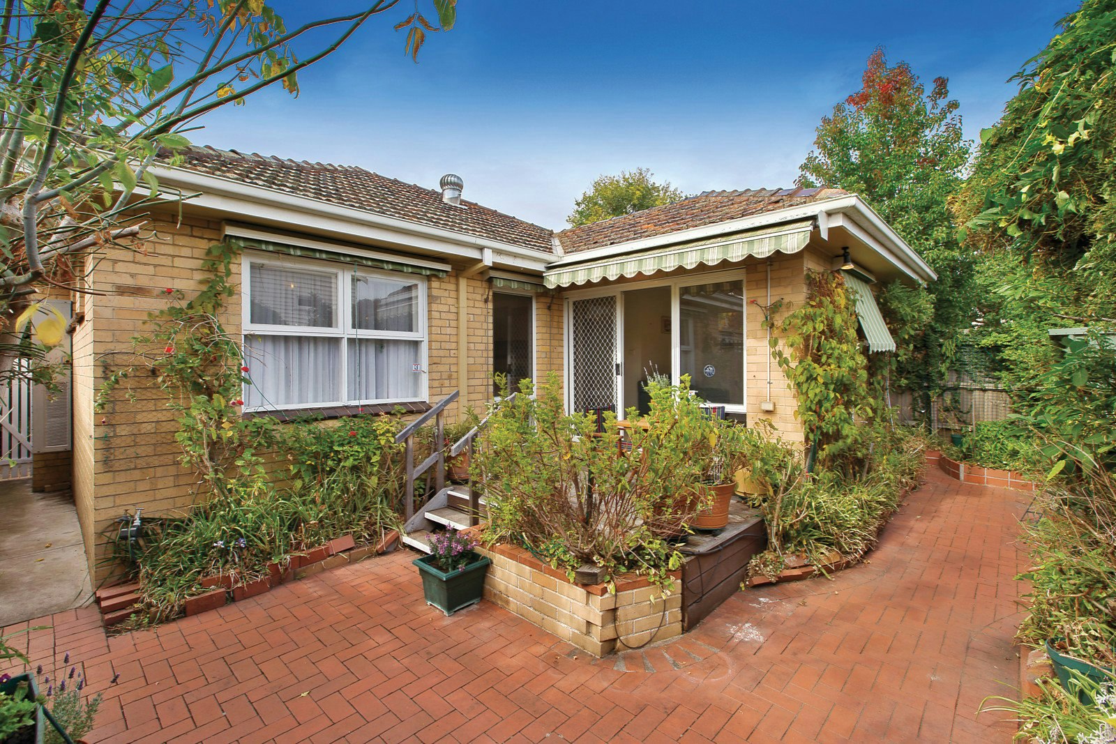 17 Willansby Avenue, Brighton, VIC