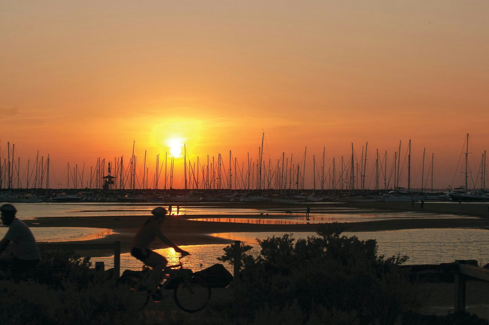 17 Willansby Avenue, Brighton, VIC