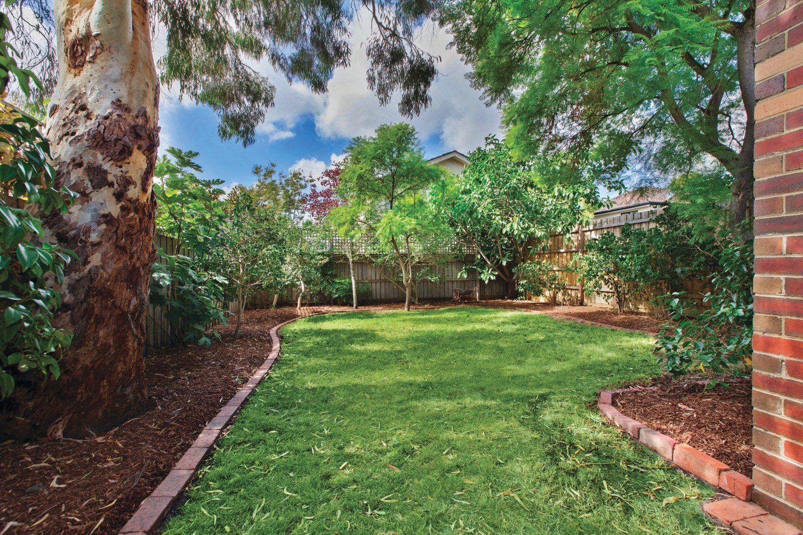 62 McArthur Street, Malvern - Thumbnail 6