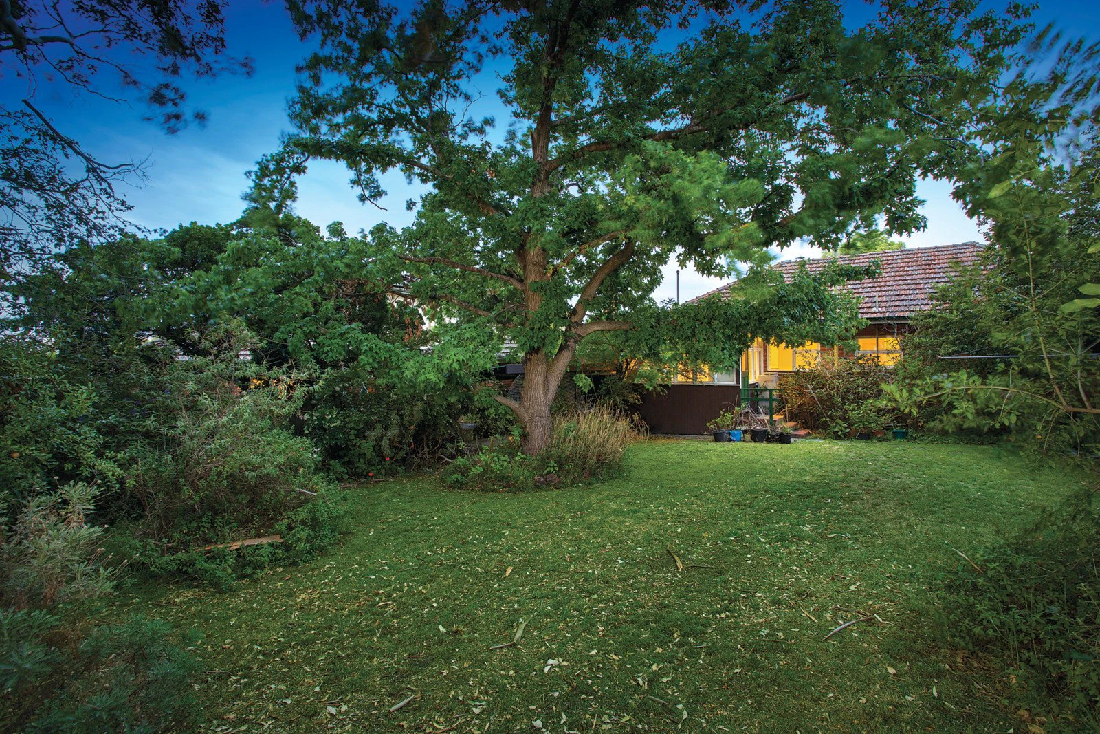 31 Bentley Street, Surrey Hills, VIC