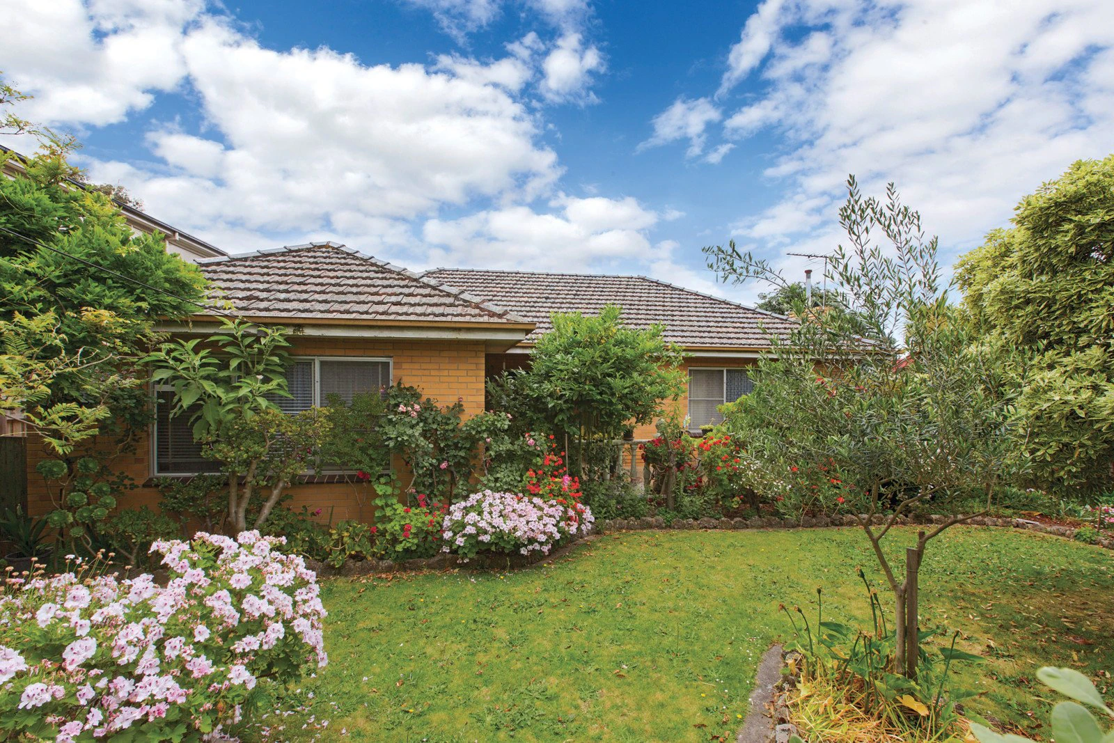 16 Wandsworth Road, Surrey Hills, VIC