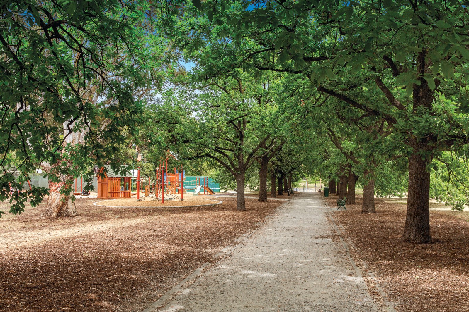 58 Denham Street, Hawthorn - Thumbnail 4