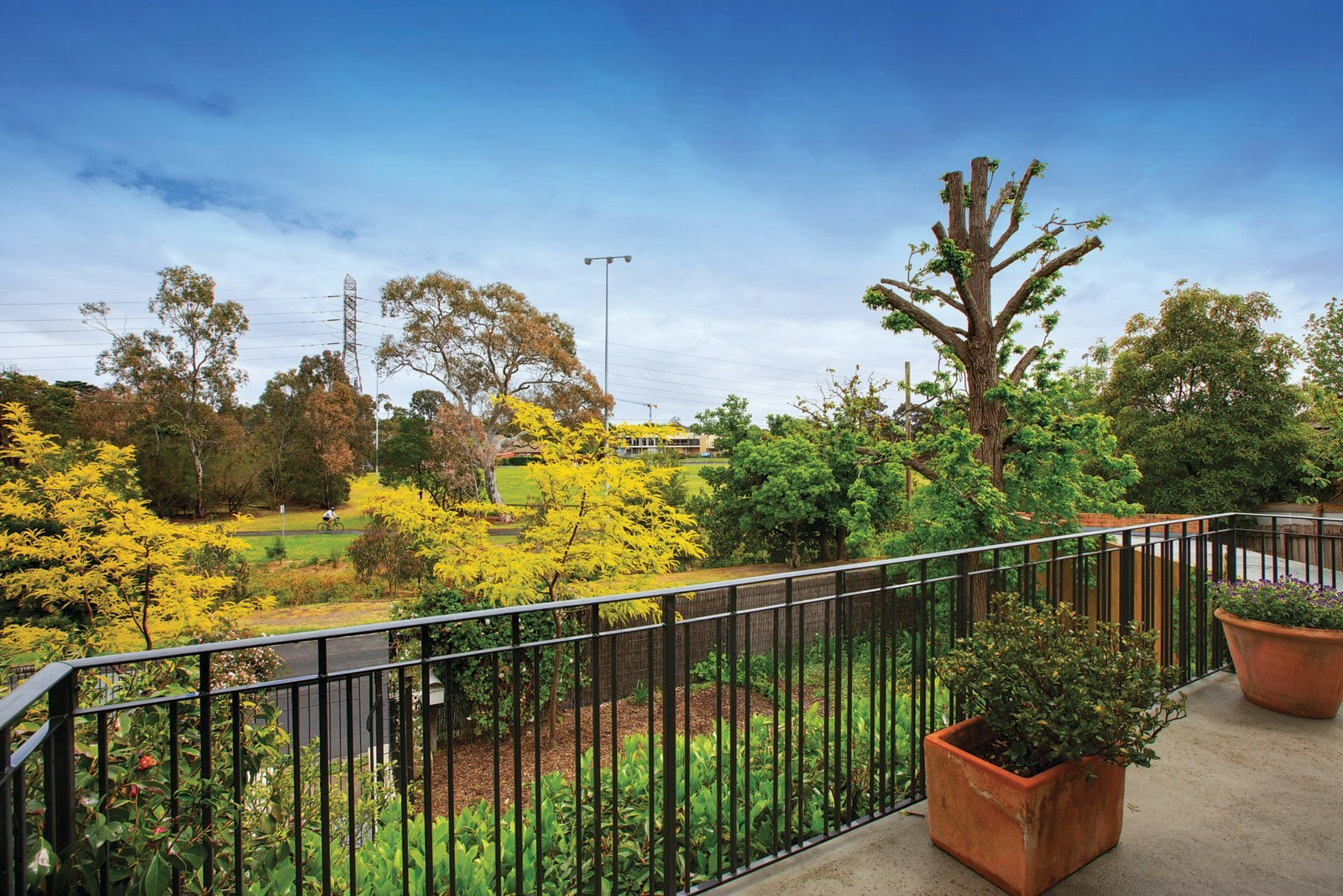 7 Pitt Street, Ashburton, VIC