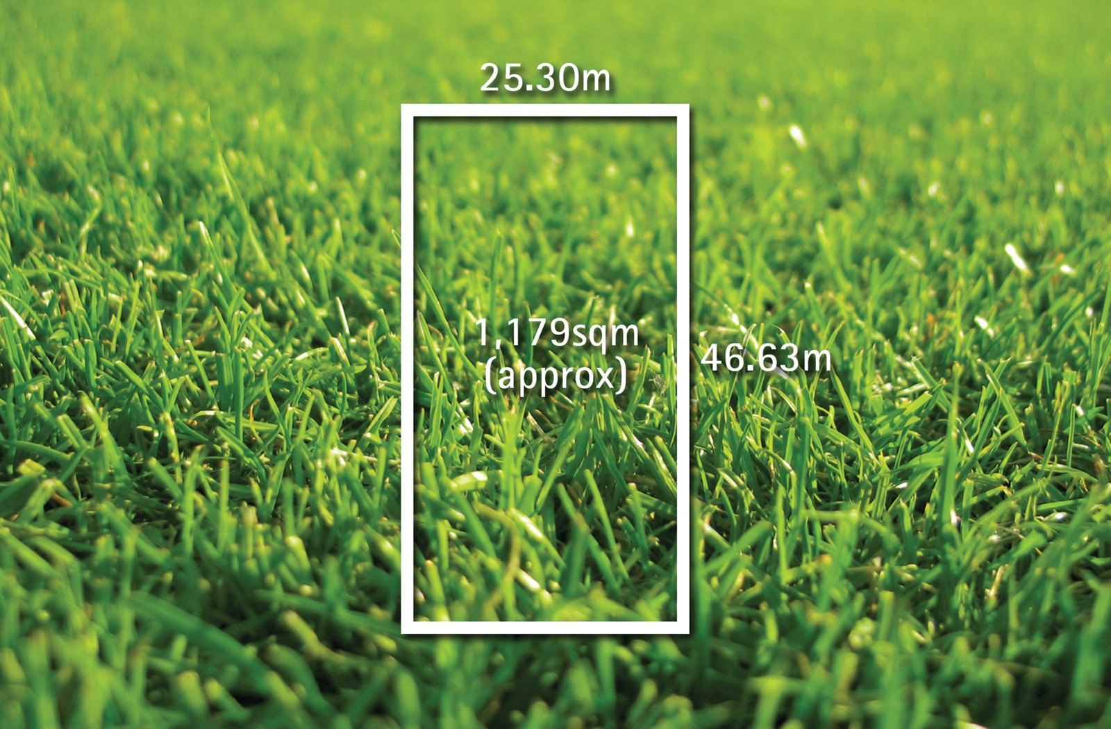 7 Mulgoa Street, Brighton, VIC